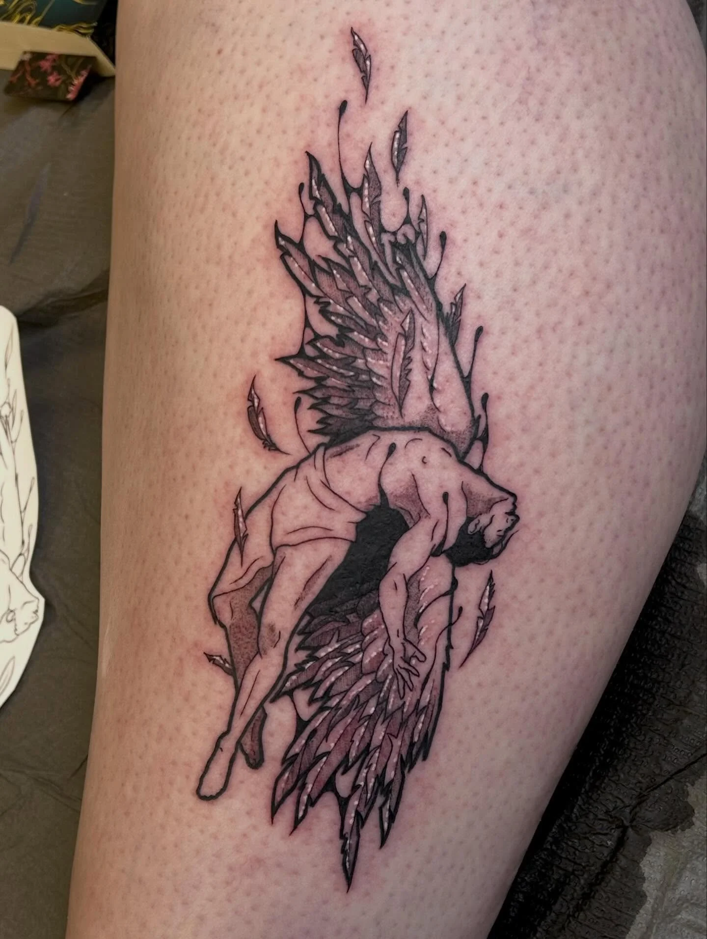 Icarus, falling 🪶 made at @springfevertattoo 

bonus: progress pics! 
I&rsquo;ve been trying to figure out a way to demonstrate how much freehanding/improvision goes into my work. Trust, communication, and consent is a HUGE part of the process! 

He
