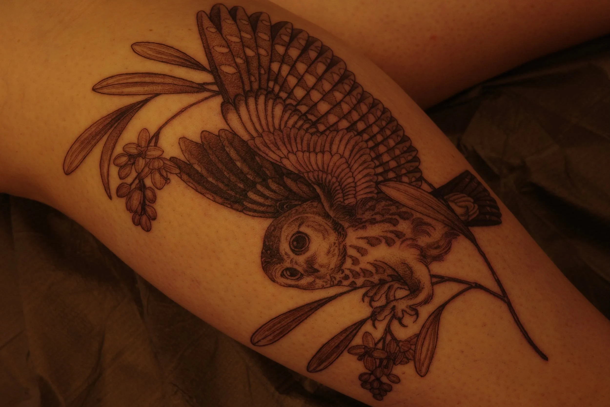 Fresh and healed about a year for Katie! Always a pleasure.😋
Made @springfevertattoo