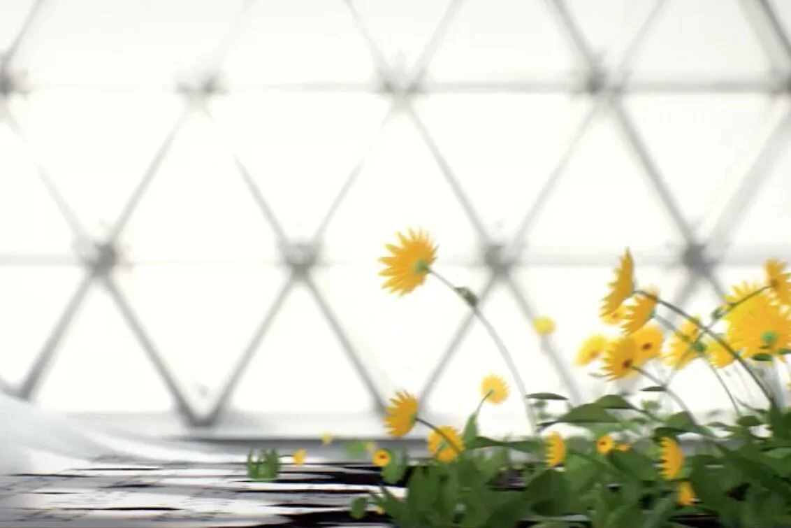 Spiriva Respimat "Train the Trainer" video