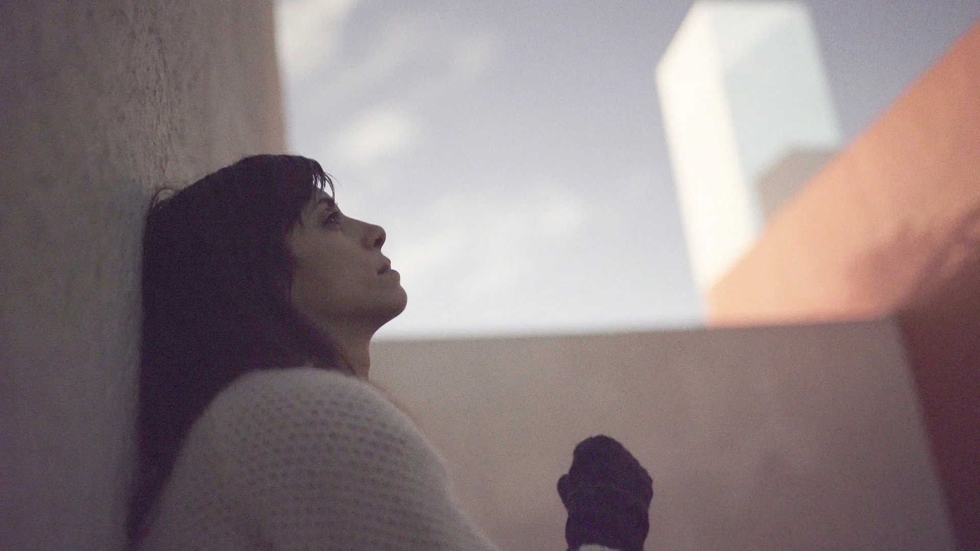 The Collectors Film Series: Film screening | The Proposal