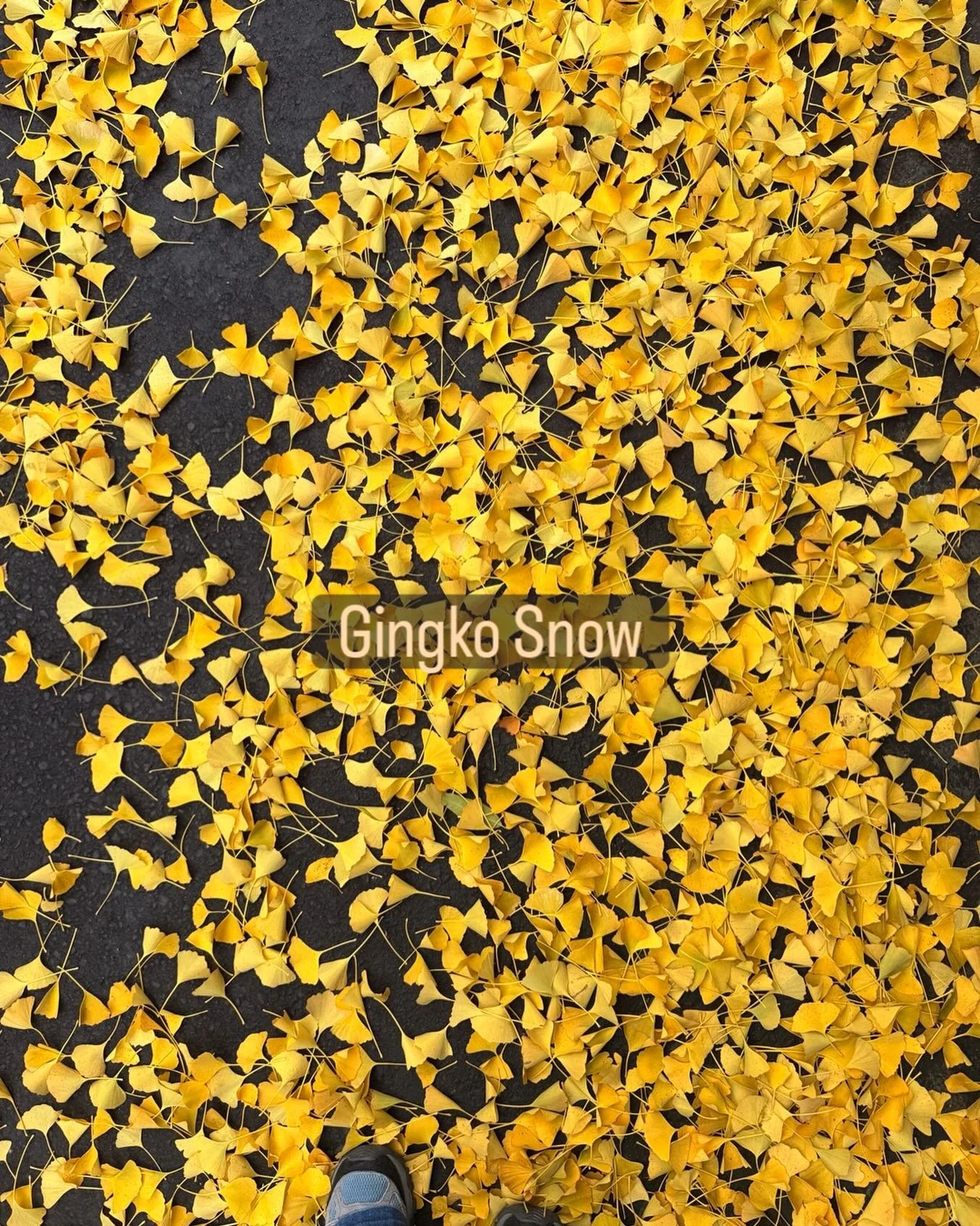 Let it snow!&hellip;