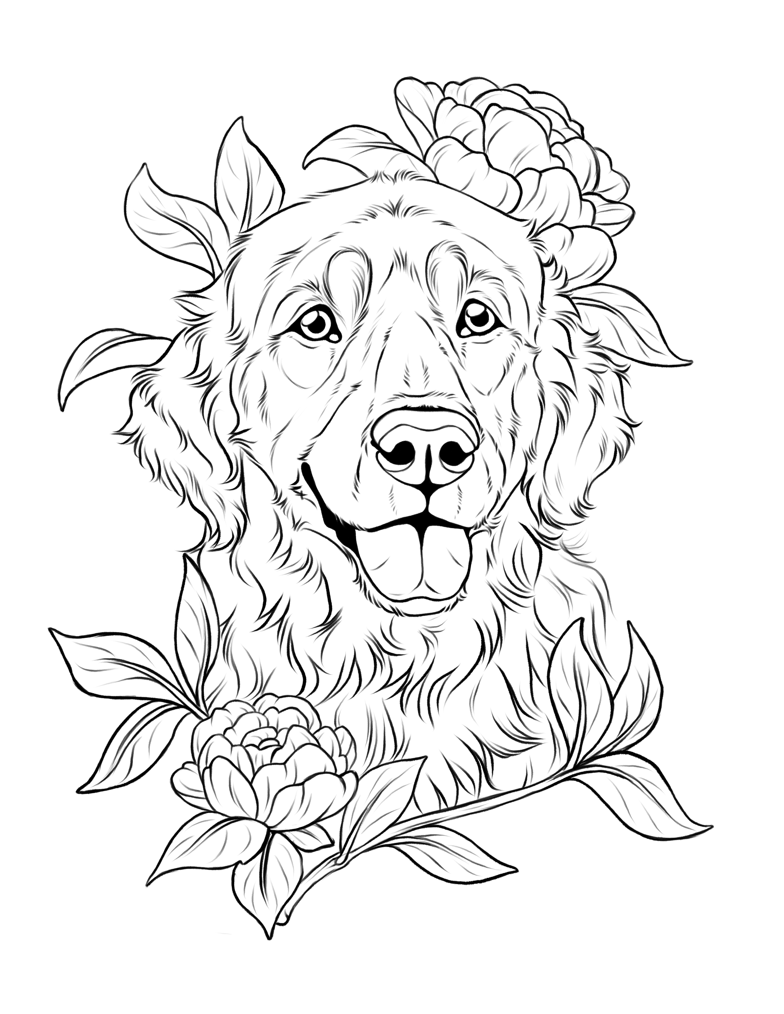 Golden Retriever - Portrait (lines only) Illustration with Floral Embellishments