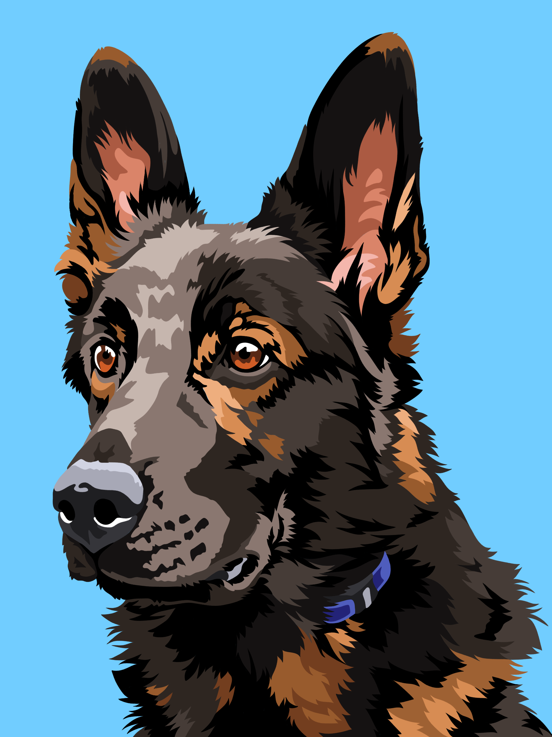 K9 Tano - (Digital) Paint-by-number/Posterized Style Portrait
