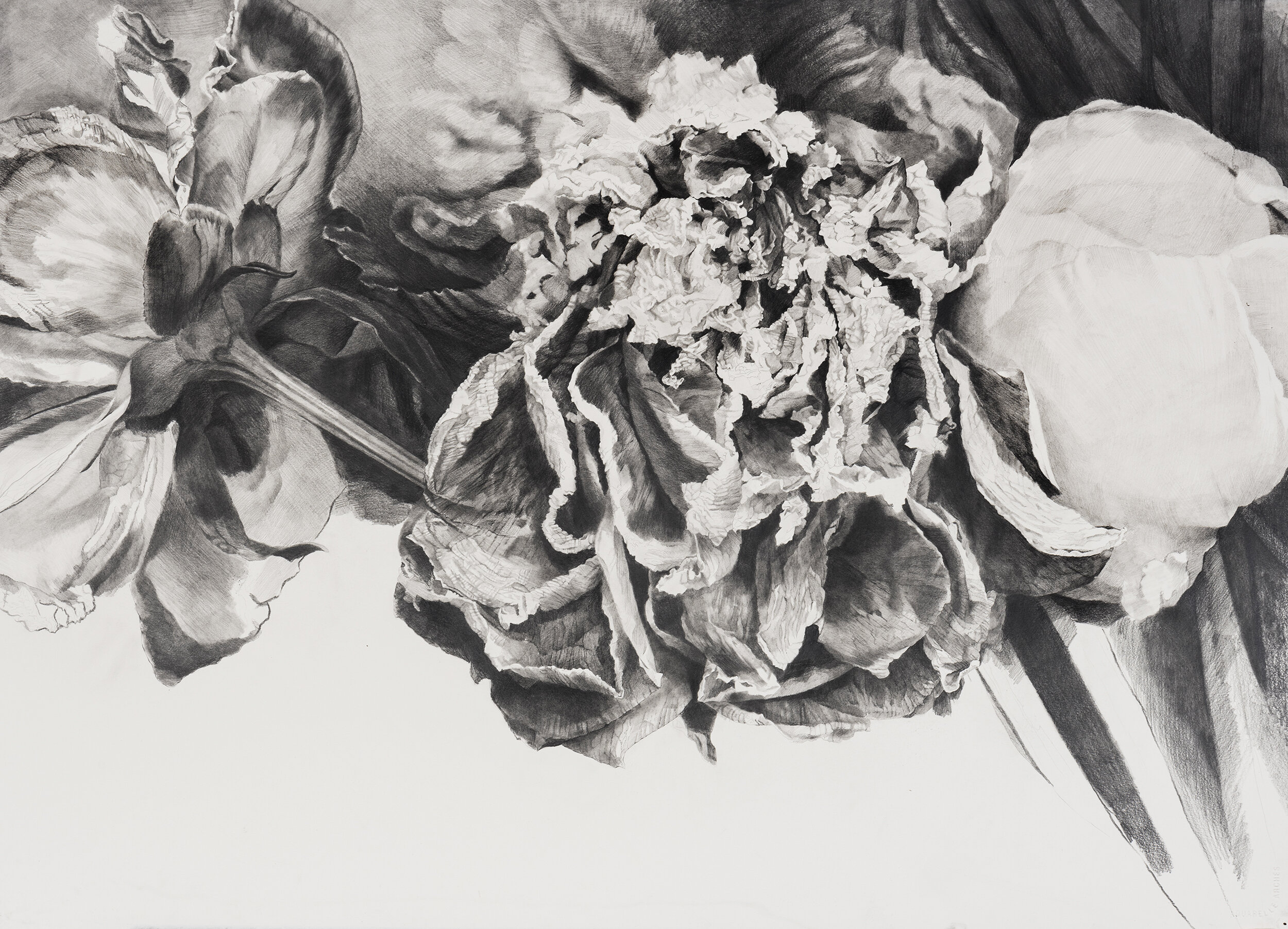 Dead Flowers #1