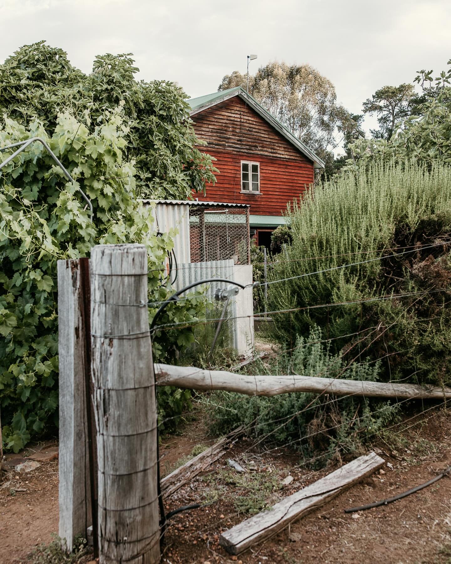 In case you&rsquo;ve missed the news&hellip; 

Our incredible home and farm is for sale!! Featuring two stories of wooden beams &amp; flooring which was milled on the farm, a huge kitchen with plenty of storage, 5 bedrooms and a study with a sweeping