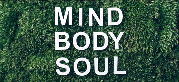 Chiropractor in Crossroads Kansas City: A Holistic Approach to Feeling Fantastic!