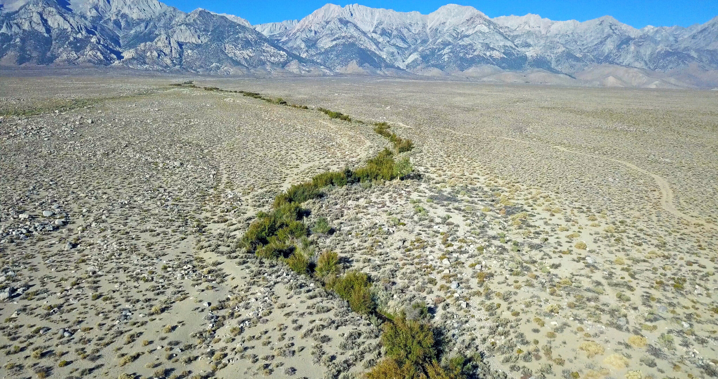Film Still:  Manzanar Diverted:  When Water Becomes Dust