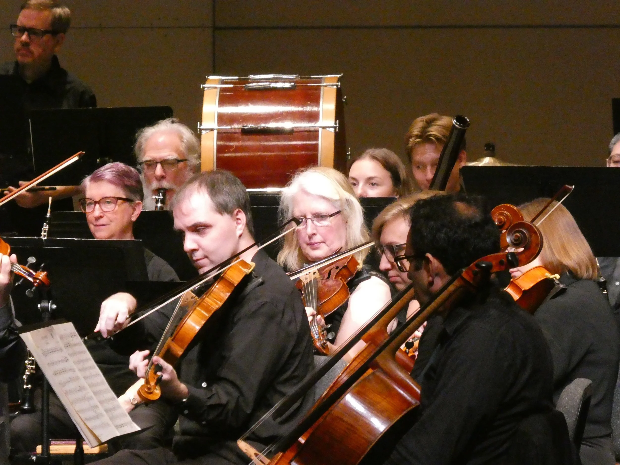 Violas and others at Symphony of the Verdugos in October 2026