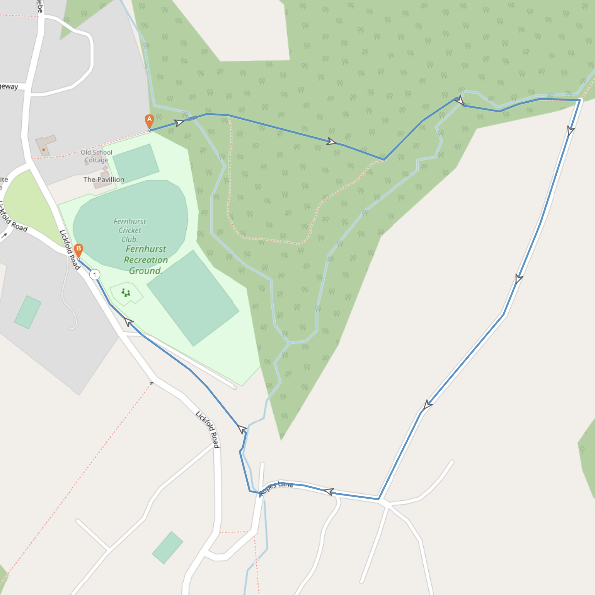 Midhurst milers Blackdown Junior 3k route and map