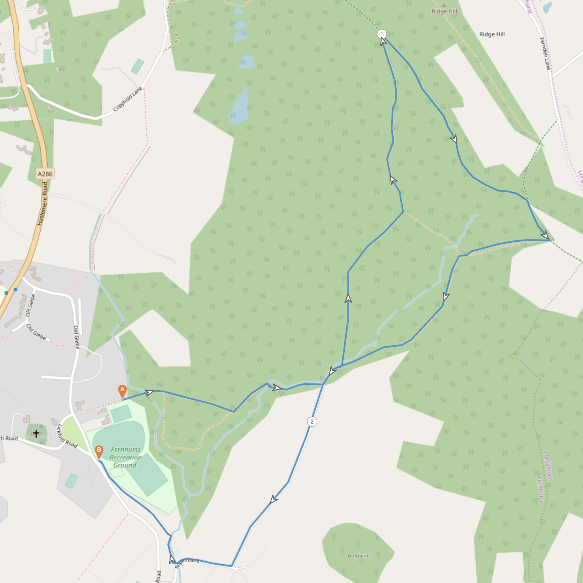 Midhurst Milers Blackdown Junior 5k race route