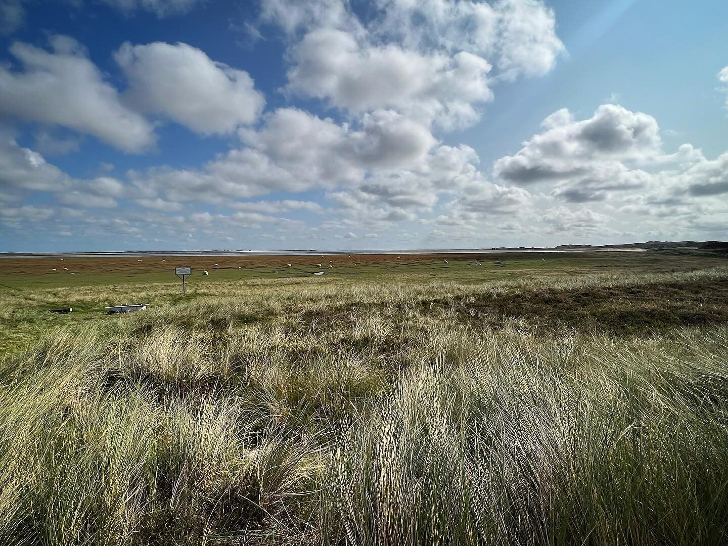 Always beautiful! #sylt #inspiration

&bull;
&bull;
&bull;

#designer #interiordesign #interiorarchitect #travelinspirations
#architecture #architecturelover  #design #contemporary #art 
#ceramist