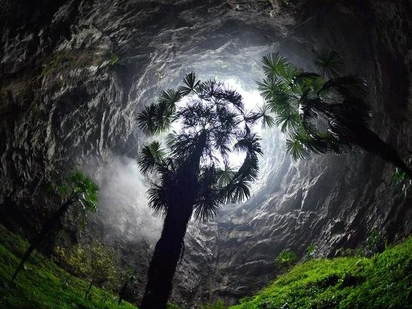 Chinese cave explorers discovered a 630-foot-deep sinkhole containing a massive ancient forest