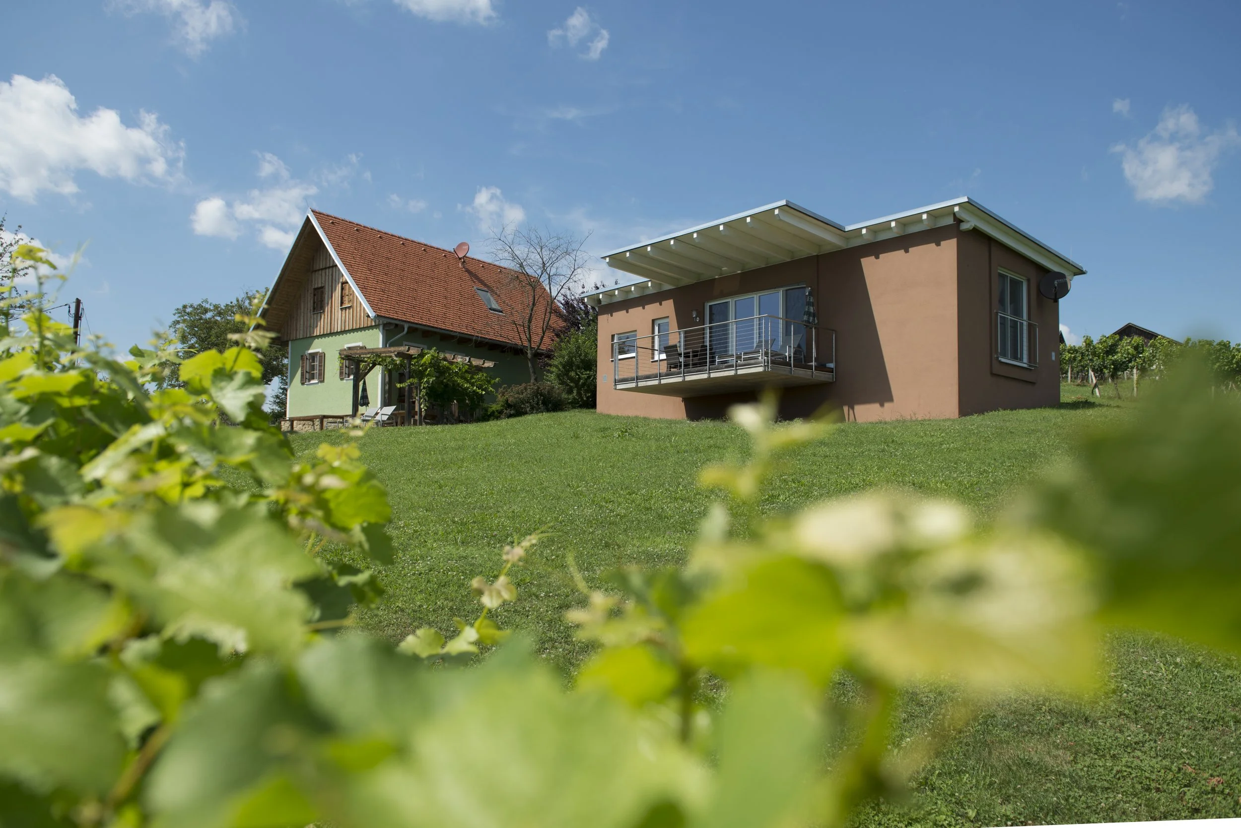 Ferienhäuser im Weingarten von Familie Gartner © Bernhard Bergmann