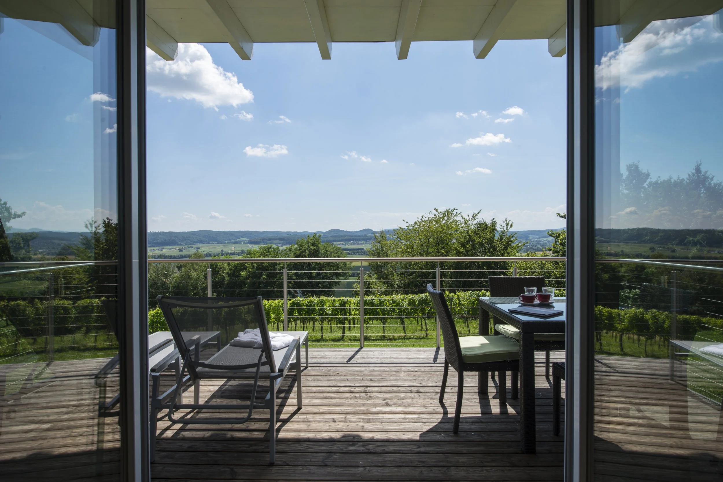 Ausblick von der Terrasse vom modernen Weingartenhaus (c) Witt