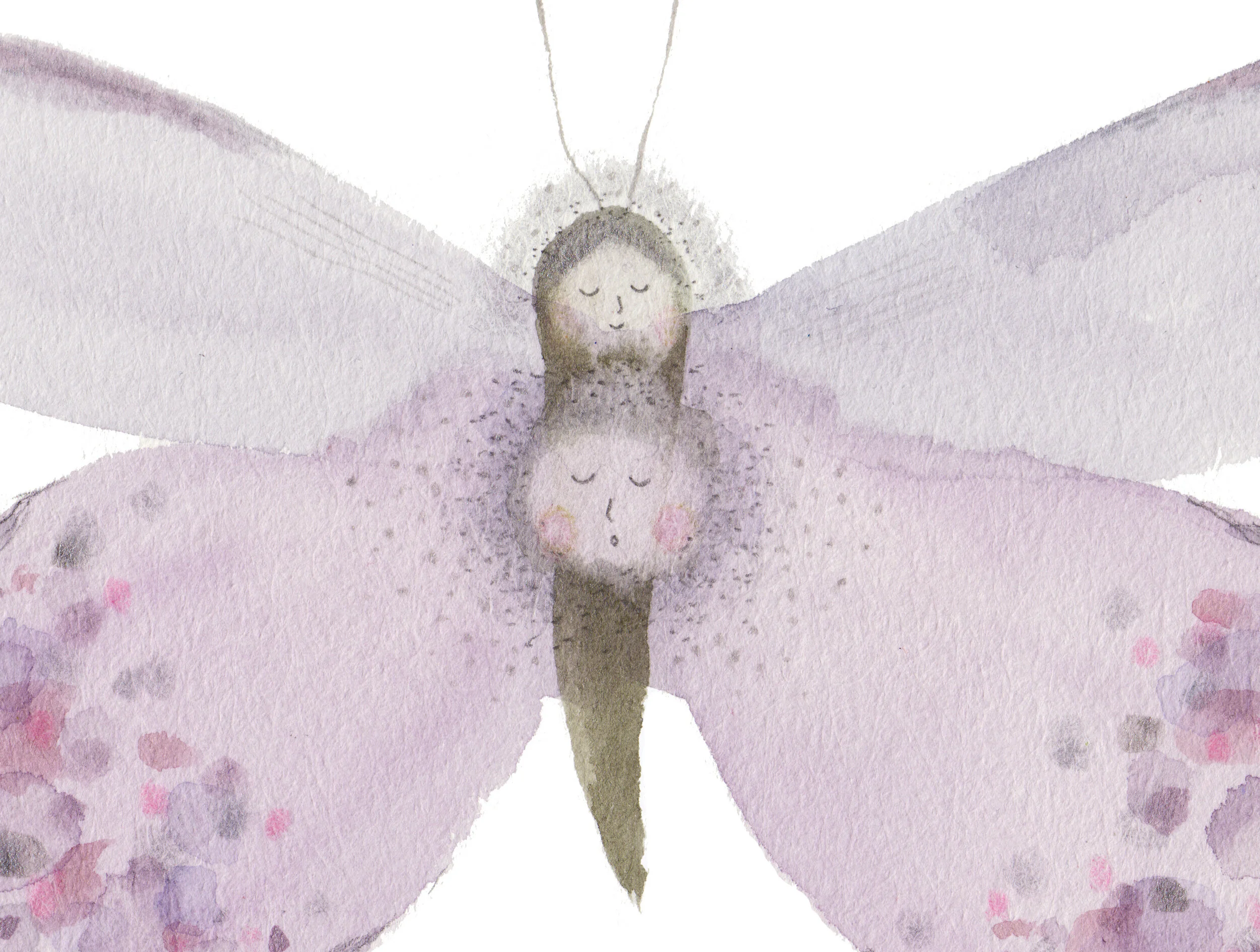 butterfly soul
