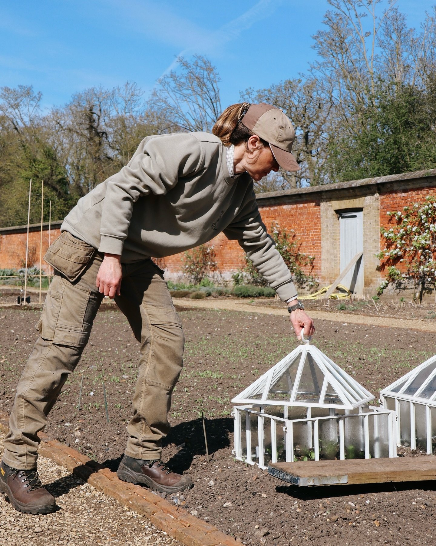 This week we travelled to East Anglia to visit some wonderful gardens, projects and plantspeople (more on that later). Whilst there, we caught up with @holkhamestate kitchen gardener Kirsty to learn more about how she uses cloches in the walled kitch