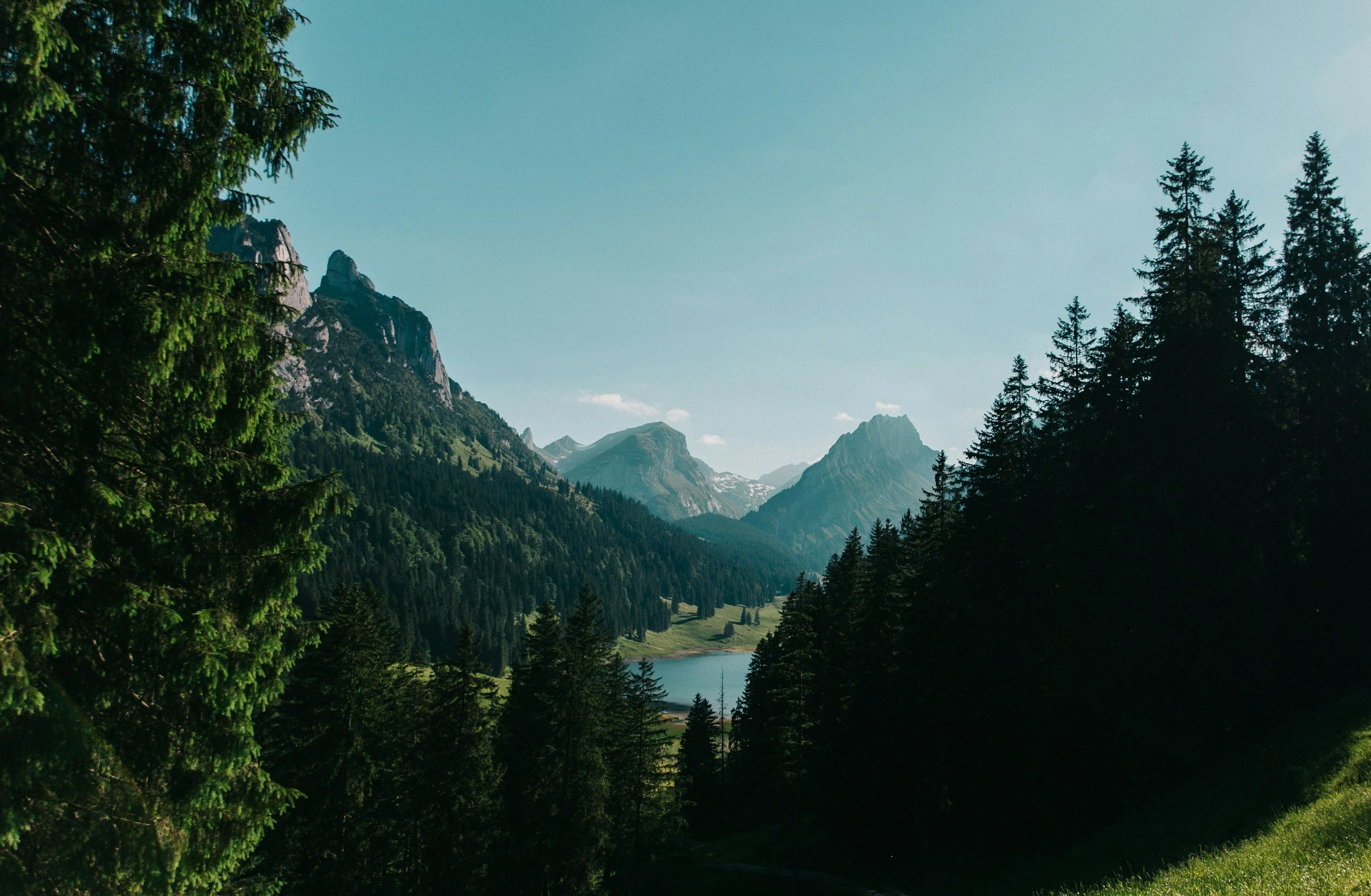 unsplash-image-r2vxqvKXng8.jpg
