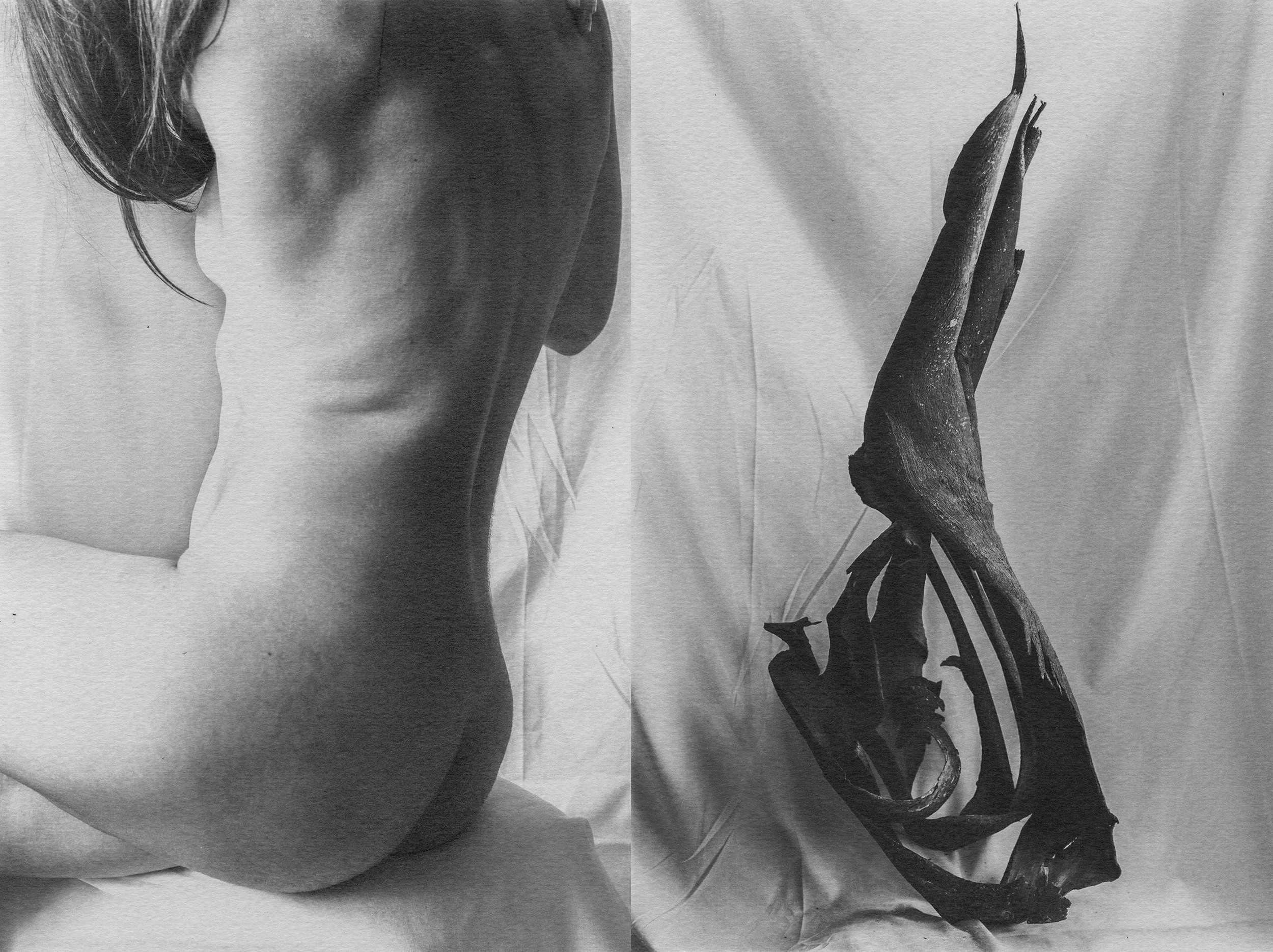 Resting Bodies
