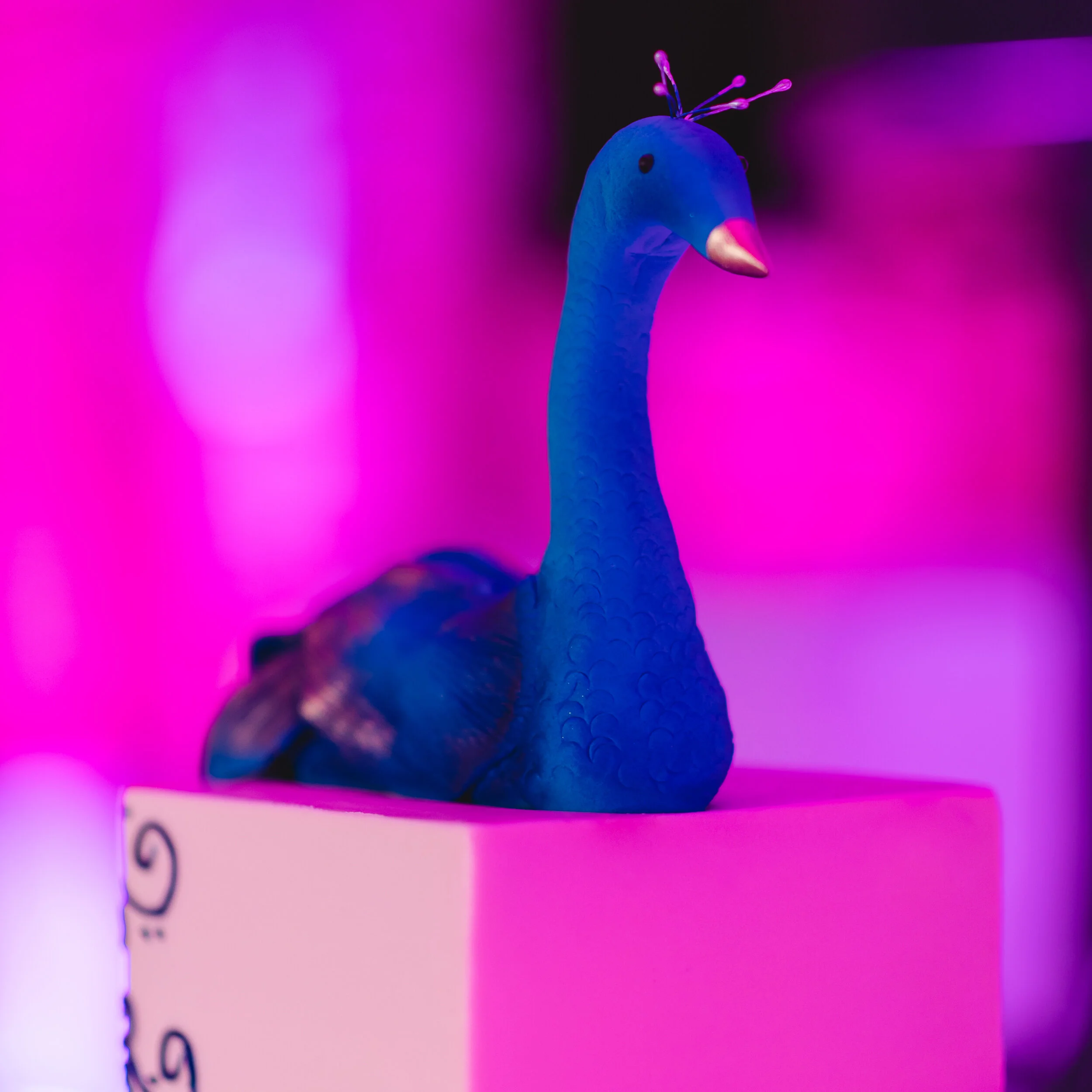 copyright_2019-kelly_wilkinson_photo-event-005.jpg