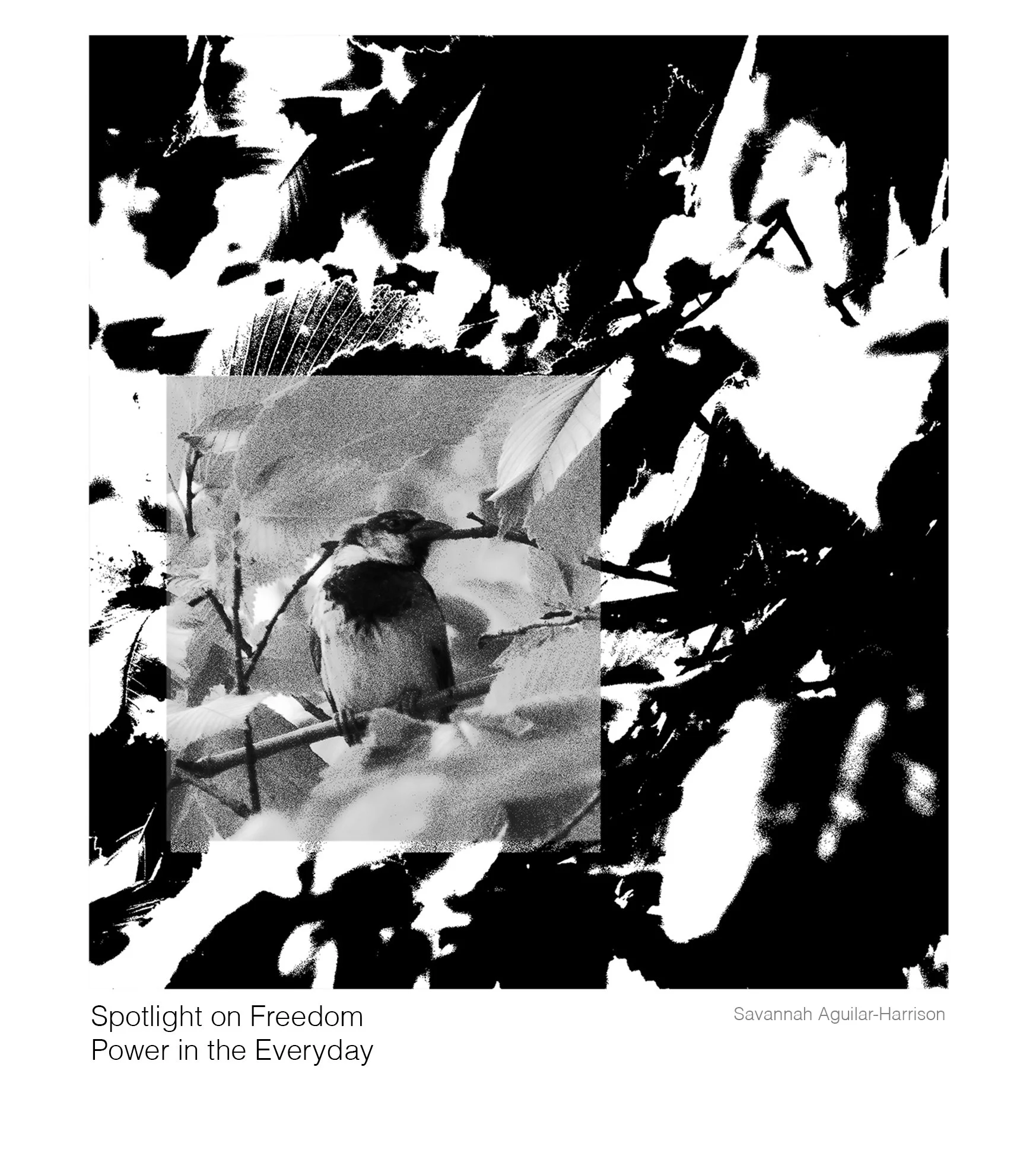 Savannah YJL Text v2 copy.jpg