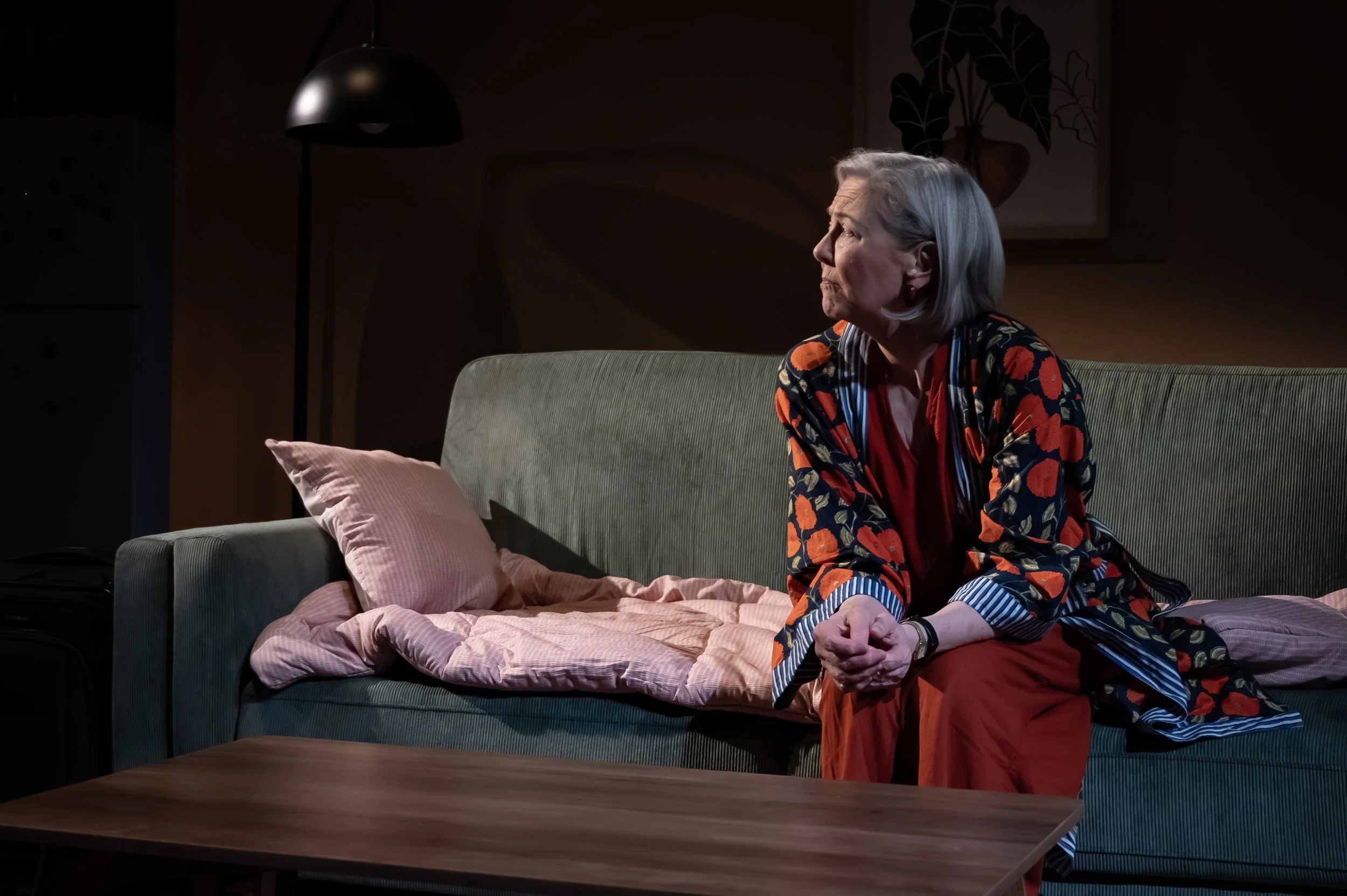  Kim Schraf in Mosaic Theater’s production of  Precarious  by Steph Del Rosso. Photo by Chris Banks. 