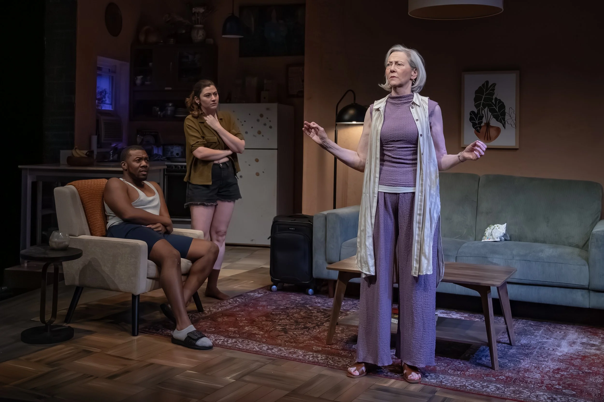  Jonathan Del Palmer, Zoe Walpole, and Kim Schraf in Mosaic Theater’s production of  Precarious  by Steph Del Rosso. Photo by Chris Banks. 