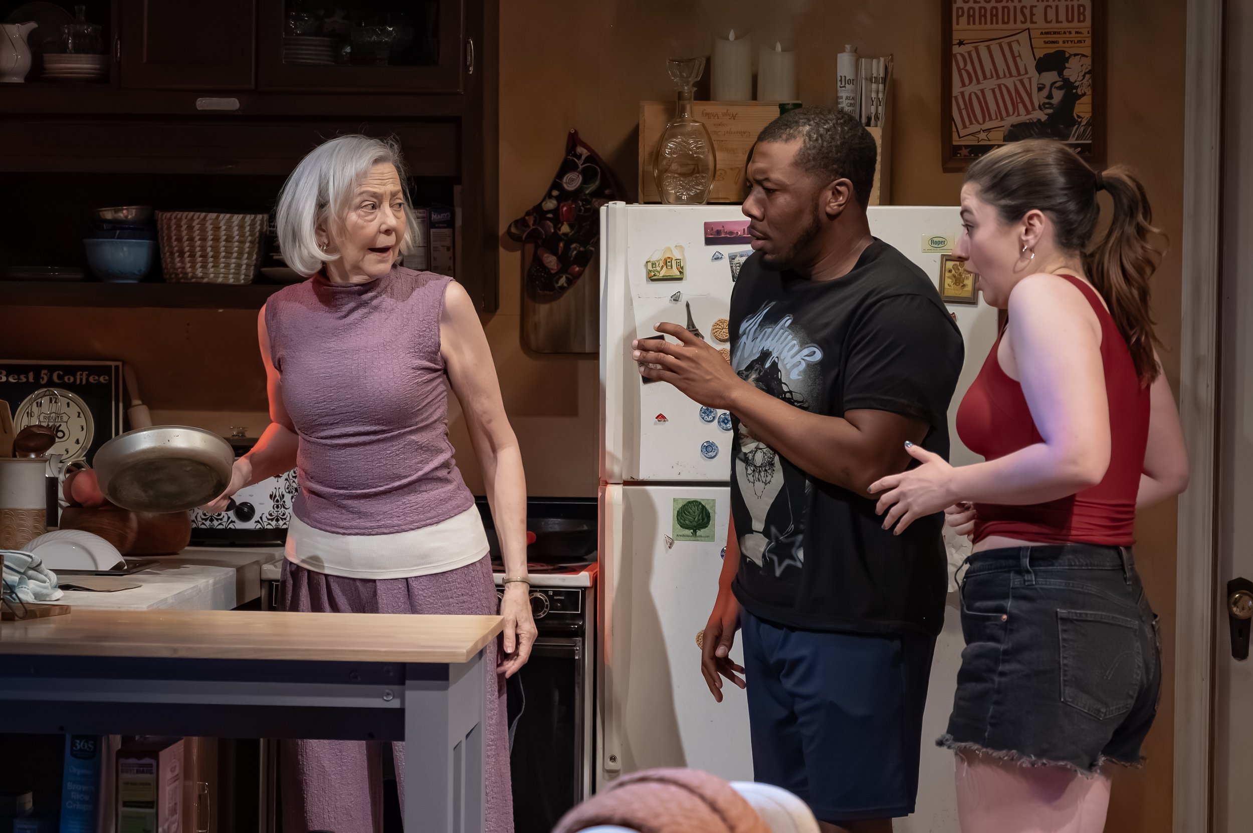  Kim Schraf, Jonathan Del Palmer, and Zoe Walpole in Mosaic Theater’s production of  Precarious  by Steph Del Rosso. Photo by Chris Banks. 