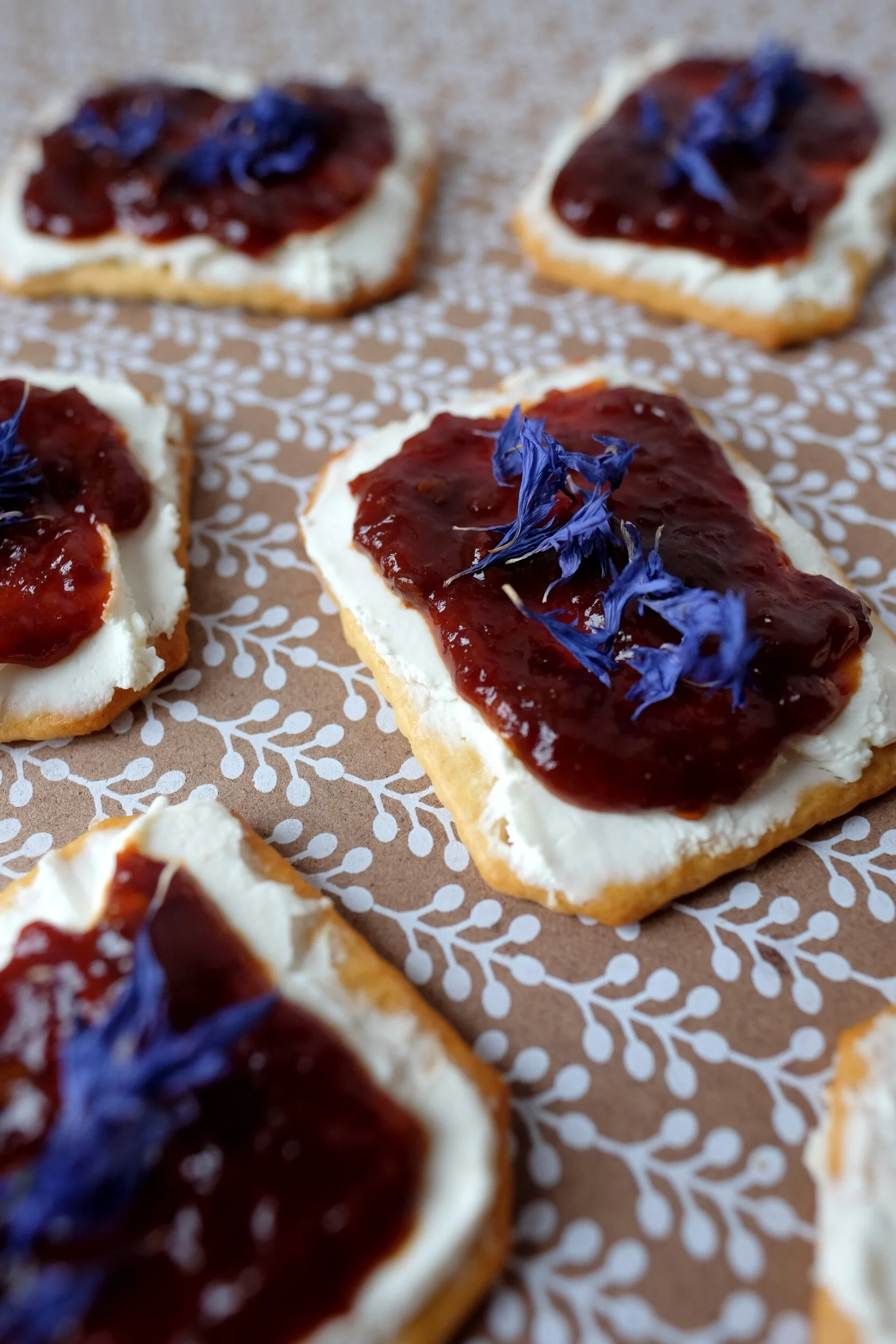 MEXICAN CHIPOTLE APRICOT CRACKERS