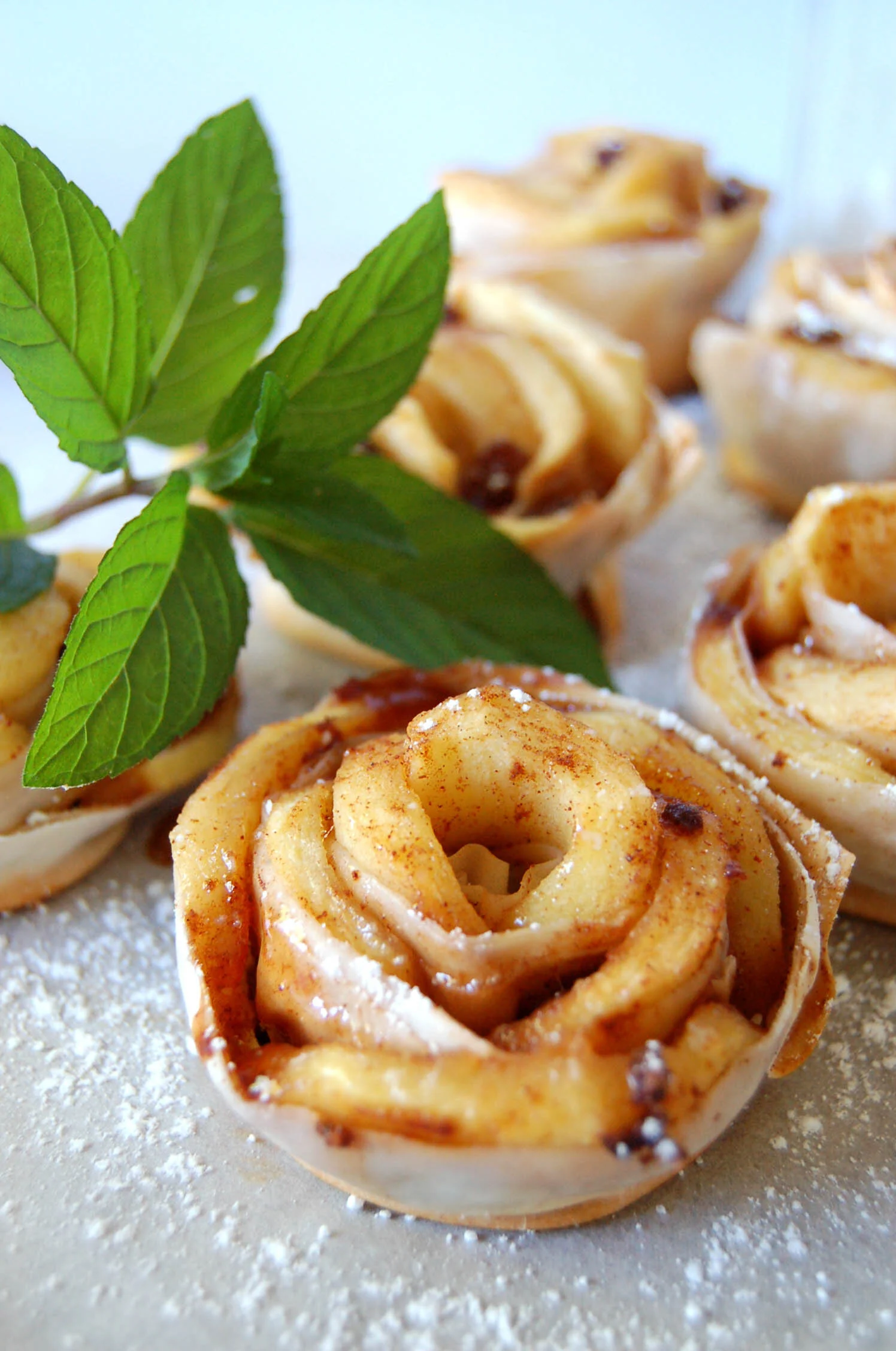 APPLE ROSES
