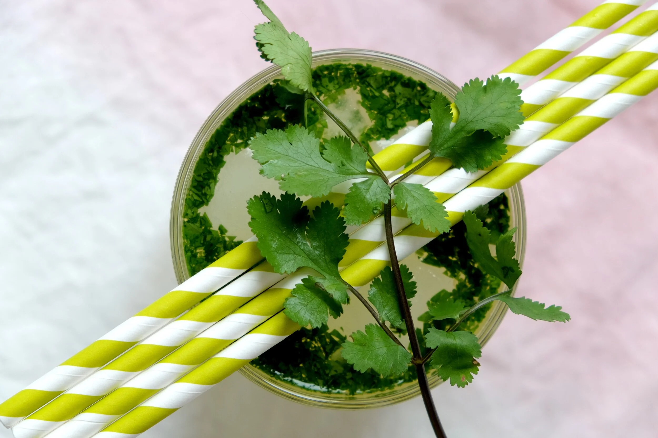 CILANTRO LEMONADE
