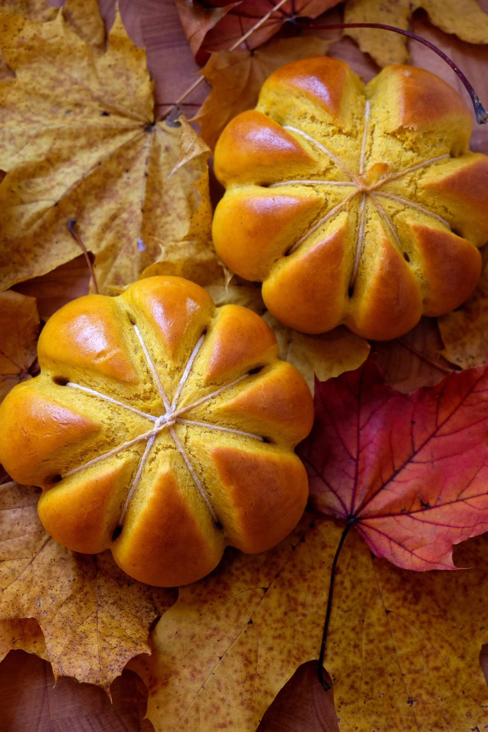 PUMPKING BREADS