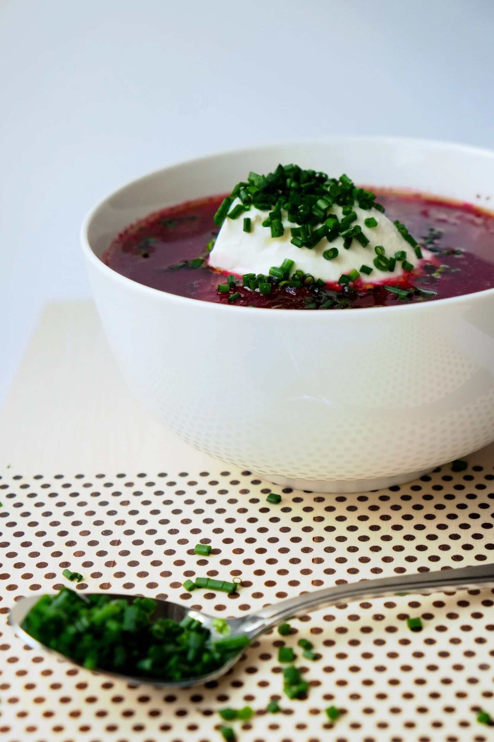 WARM BORSCHT