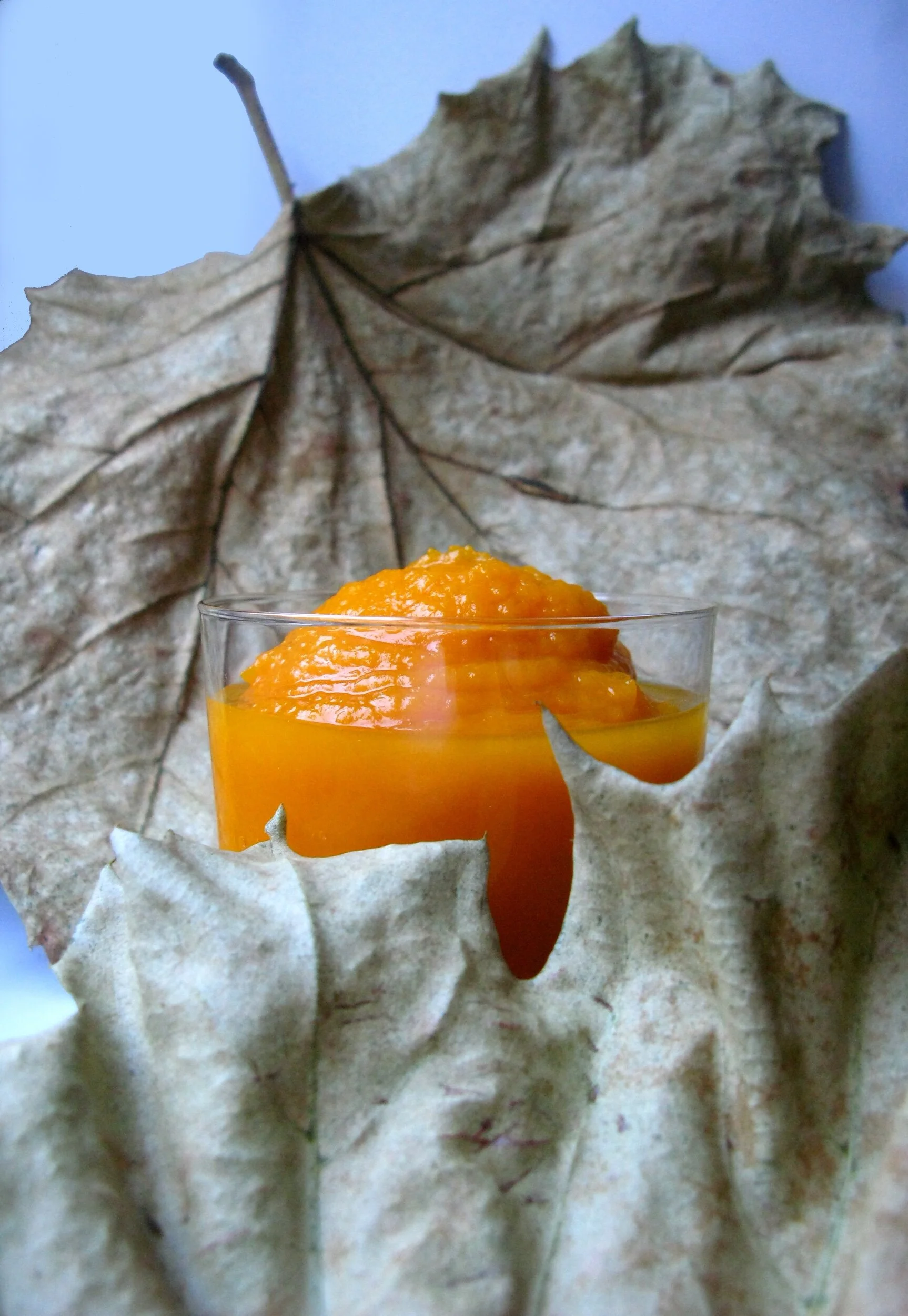 PUMPKIN PUREE
