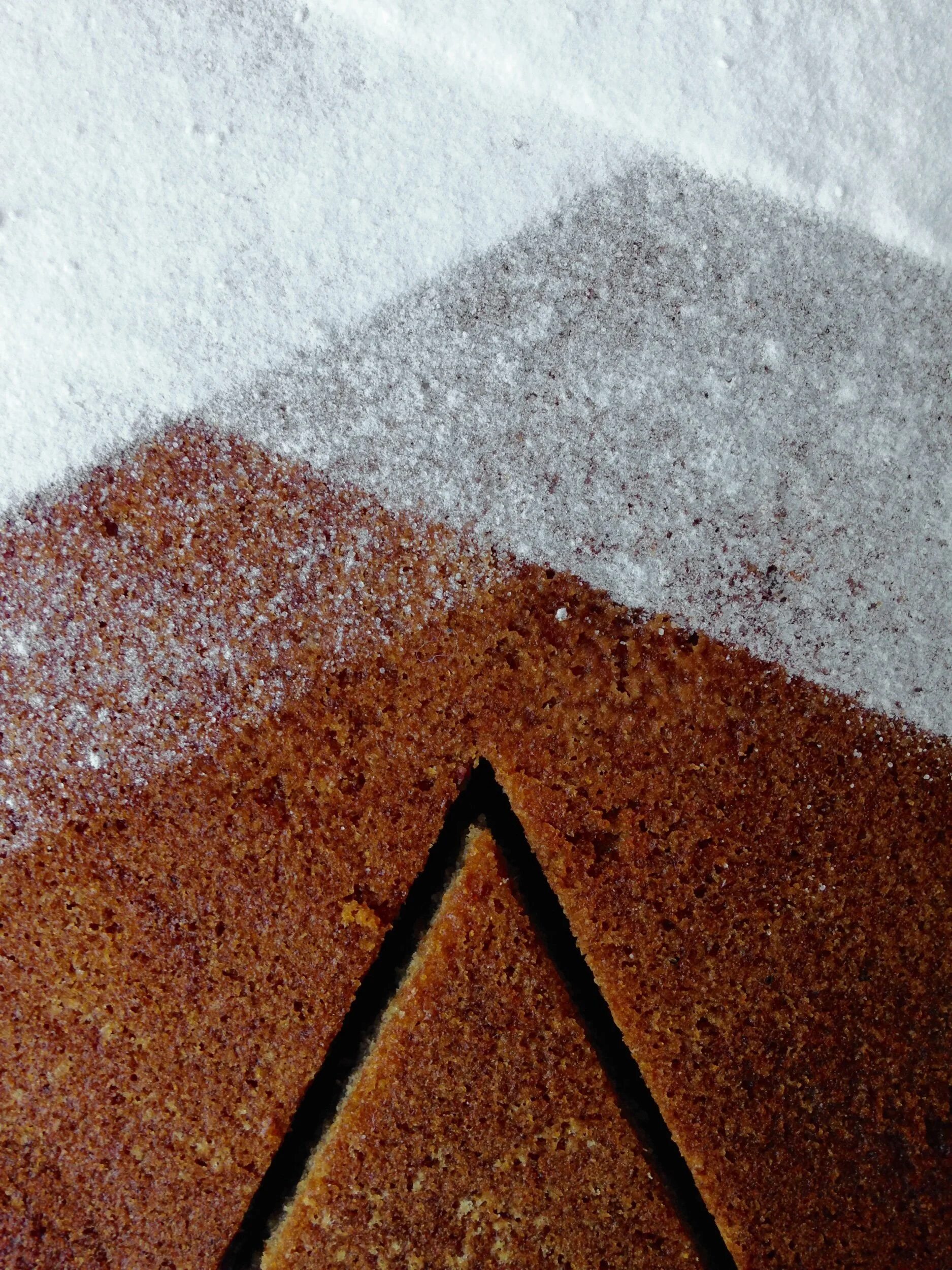 SPICED PLUM UPSIDE DOWN CAKE