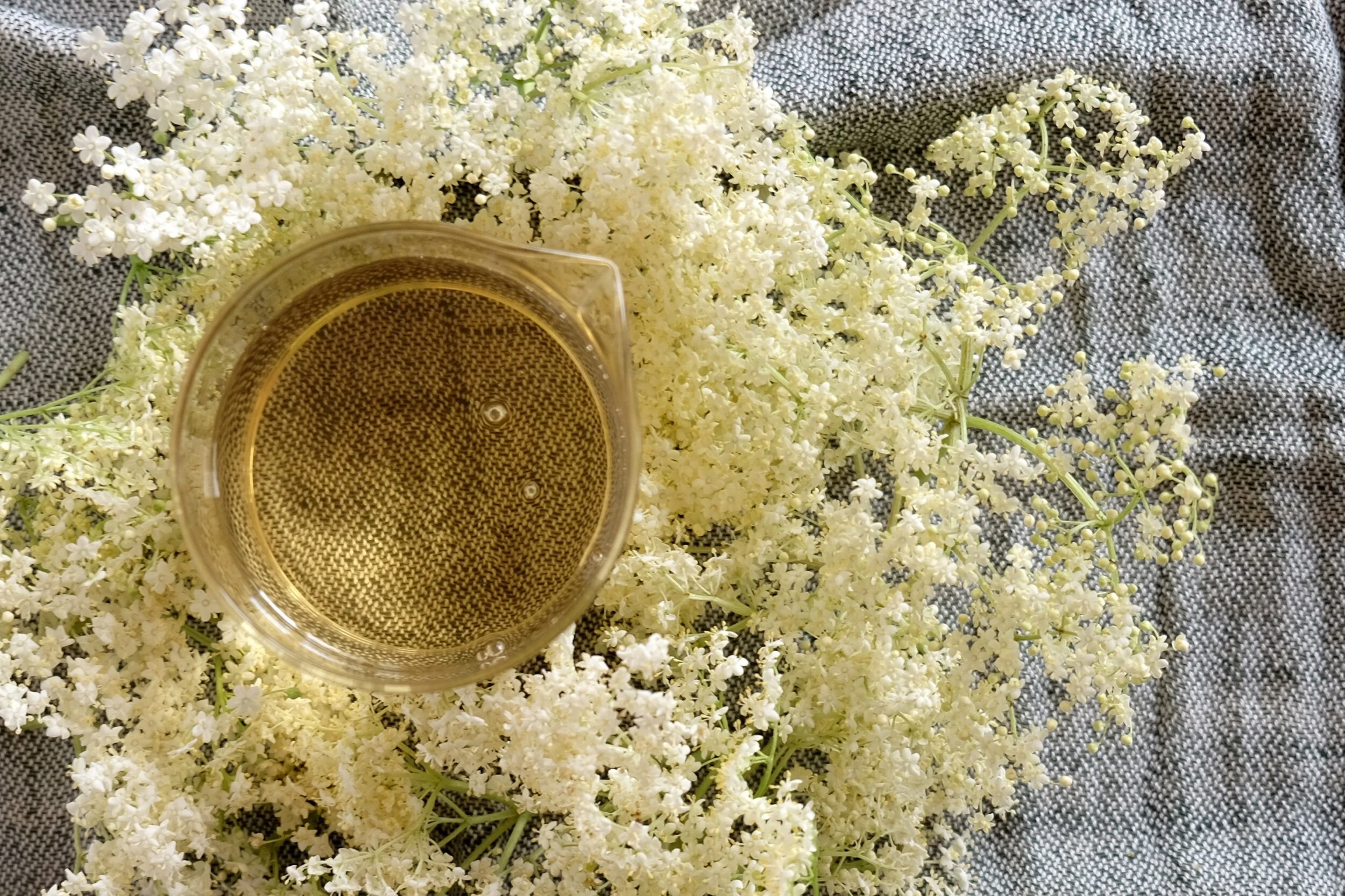 ELDERFLOWER SYRUP