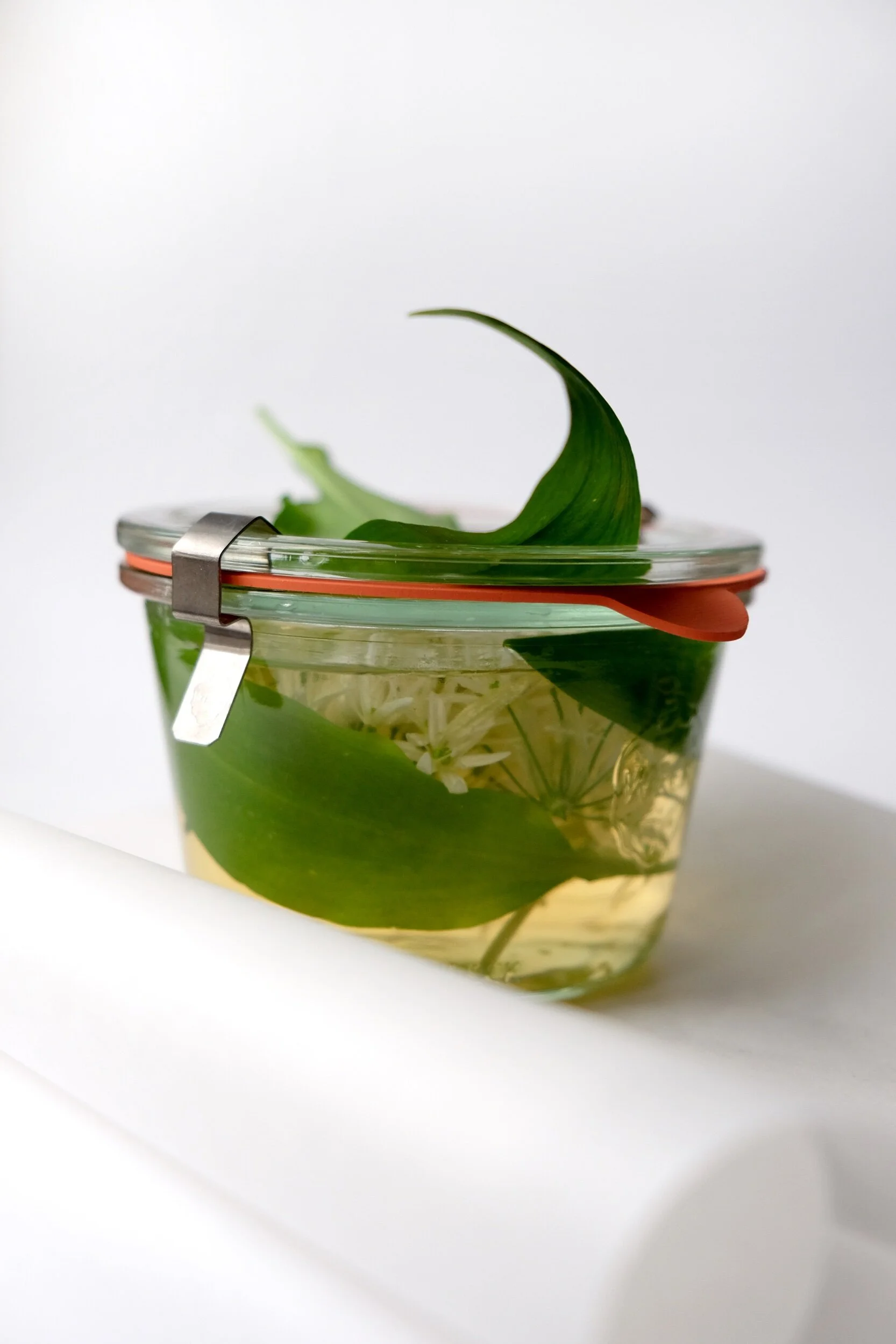WILD GARLIC VINEGAR