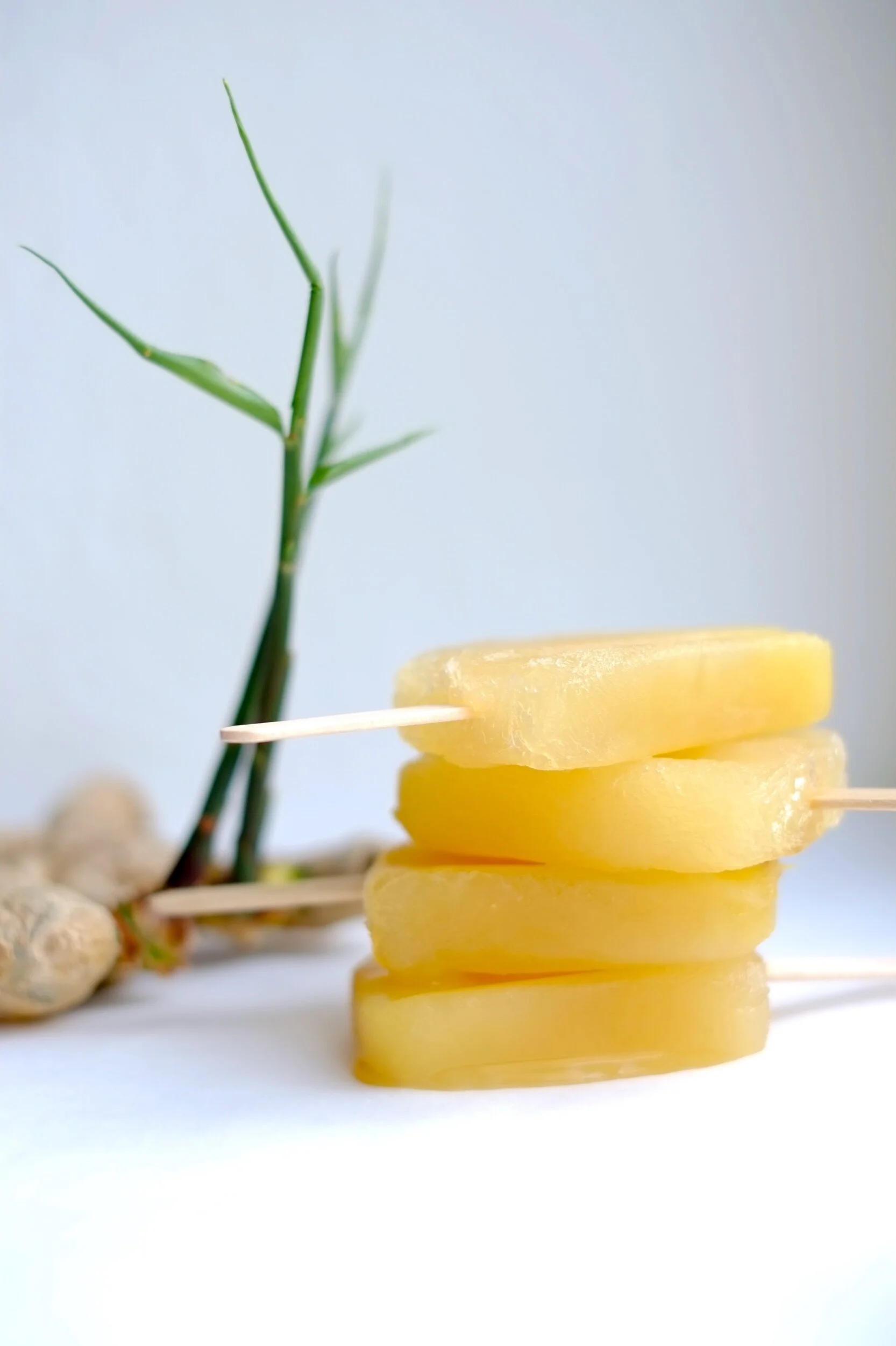 LEMON GINGER POPSICLE