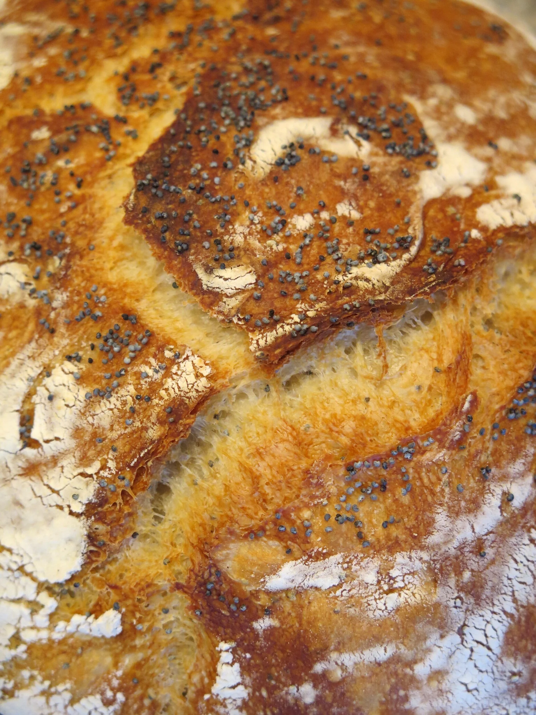 DUTCH OVEN BREAD