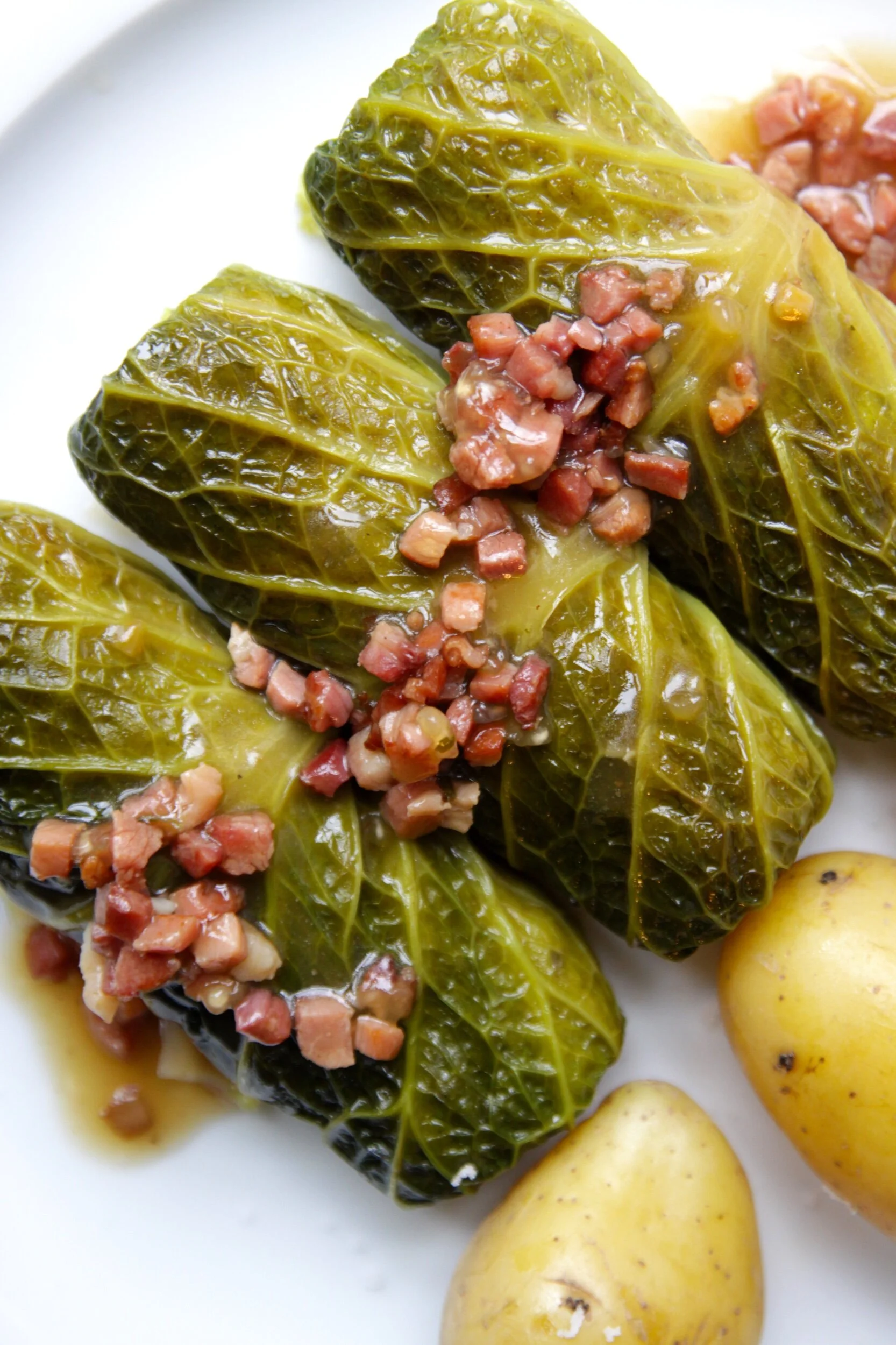 SAVOY CABBAGE MEAT ROLLS