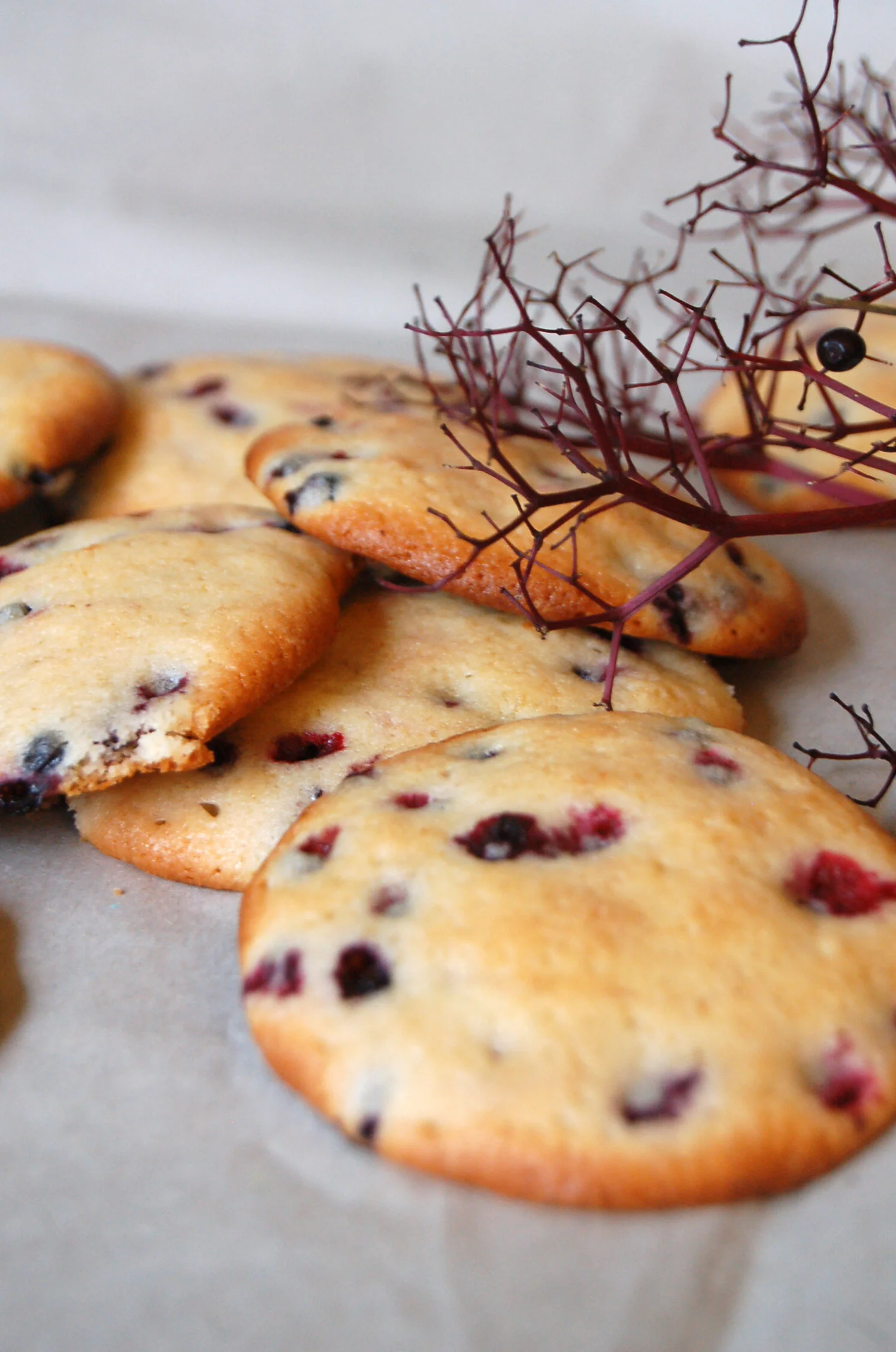 ELDERBERRY COOKIES