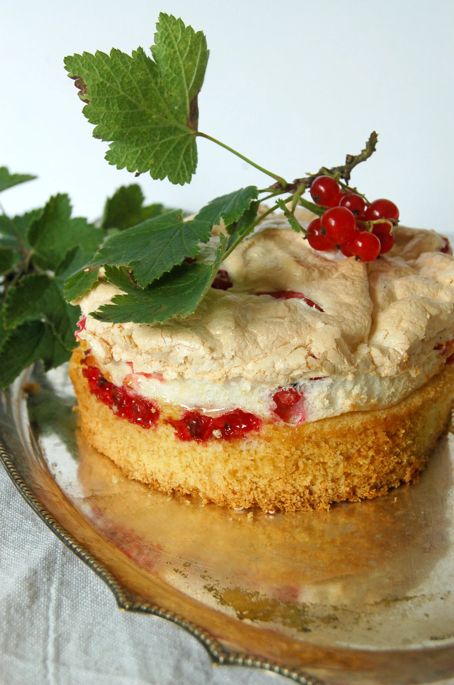 RED CURRANT CAKE