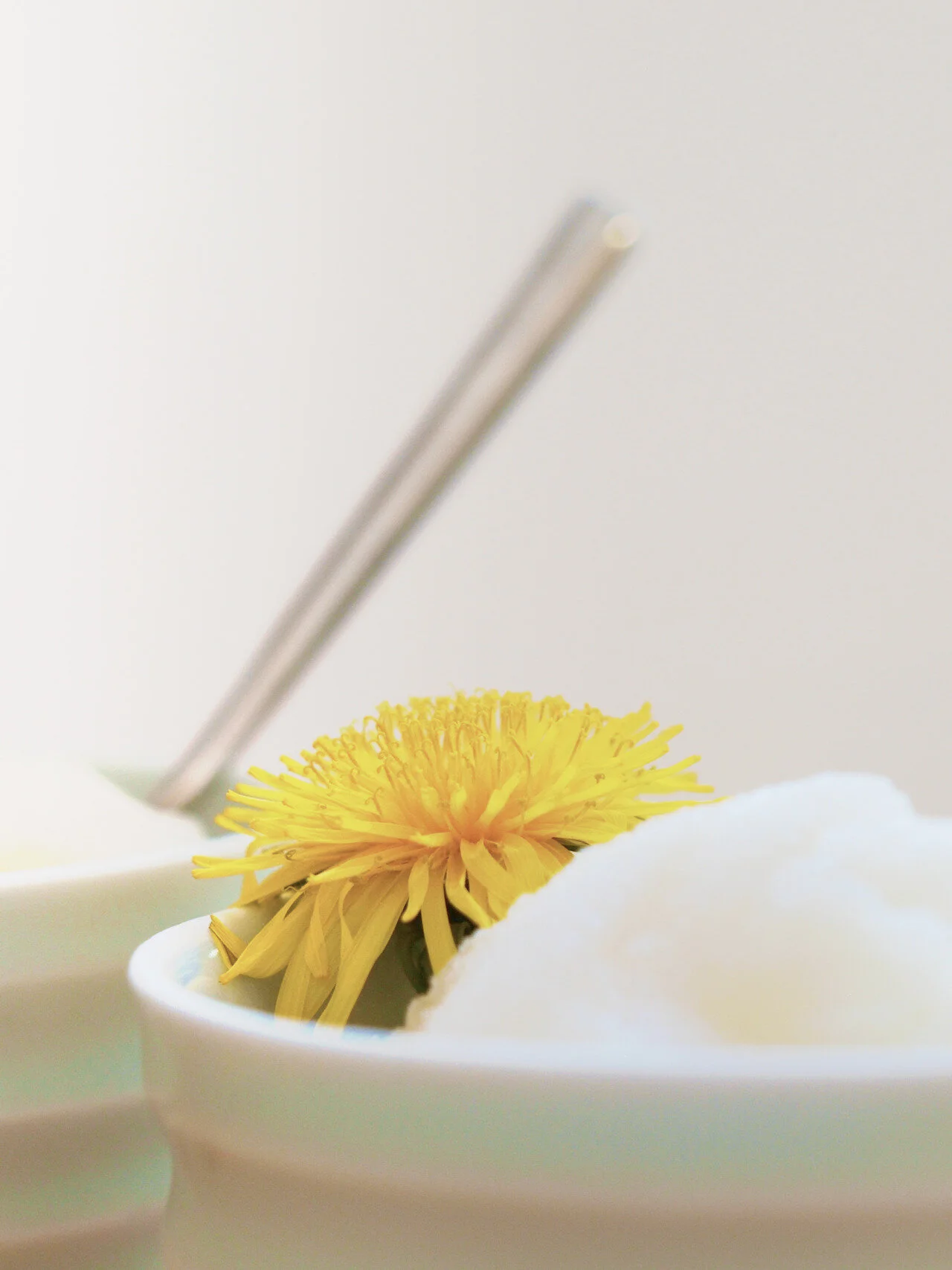 DANDELION GRANITA