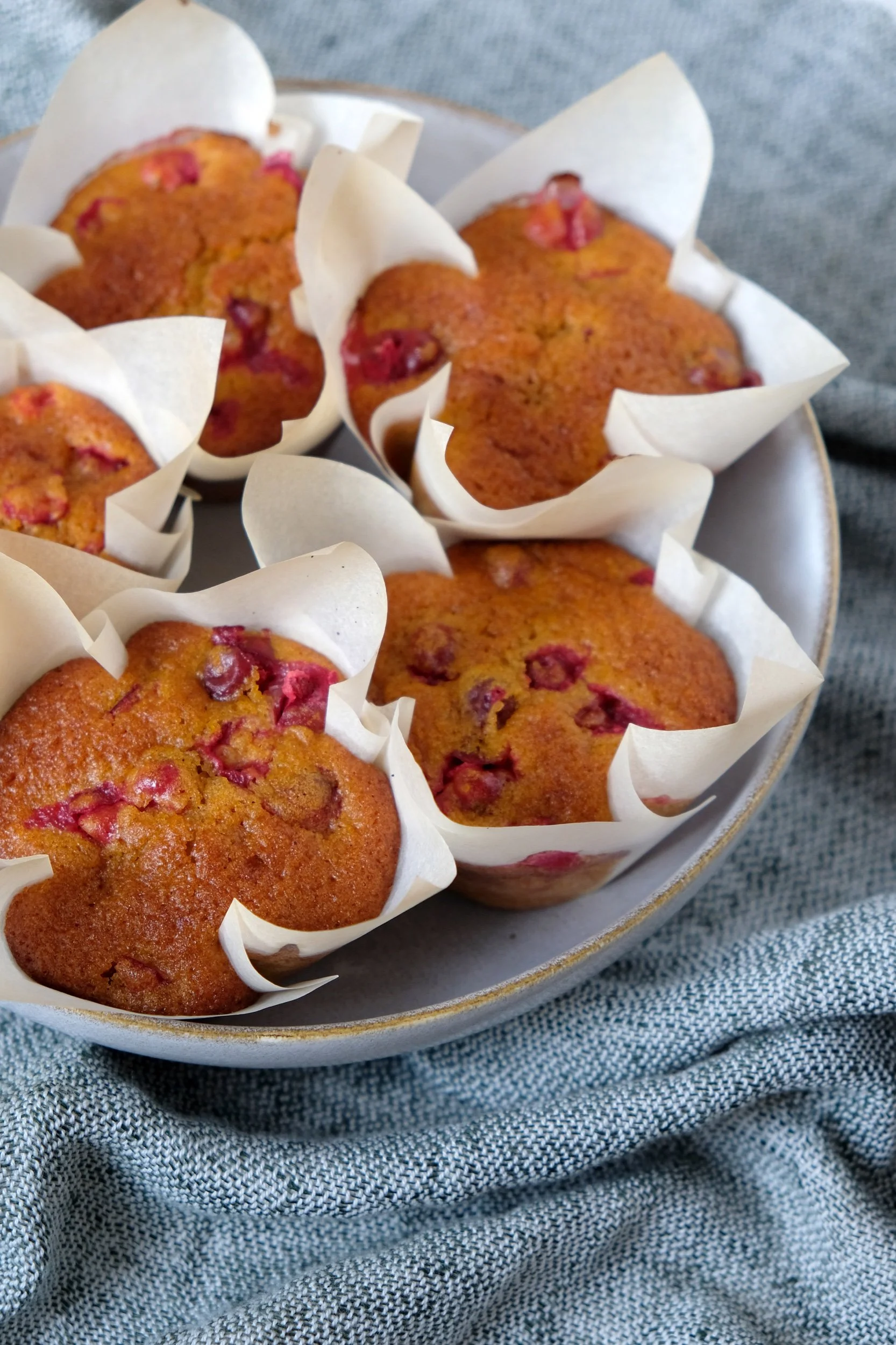 PUMPKIN CRANBERRY MUFFINS