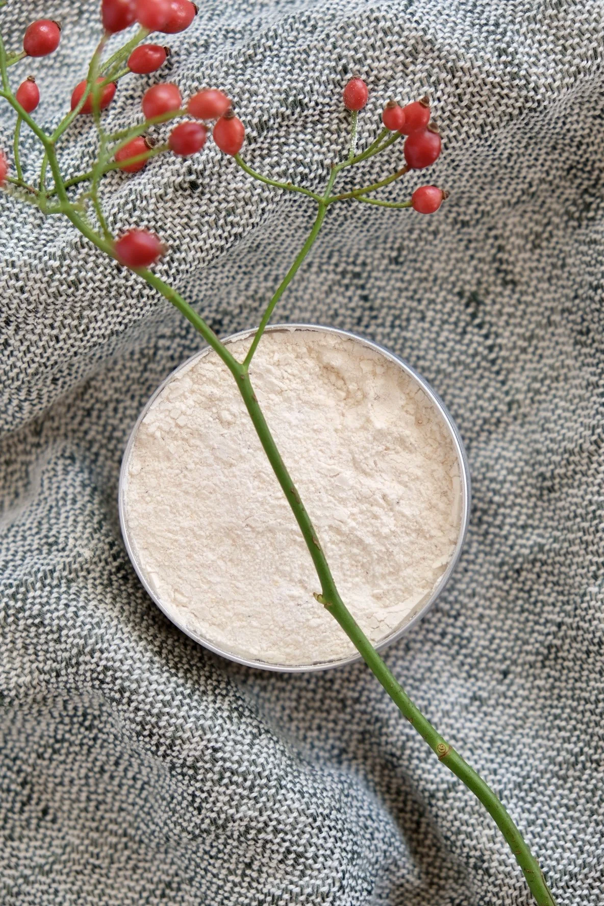 HOUNDS ROSE [SEED] SUGAR