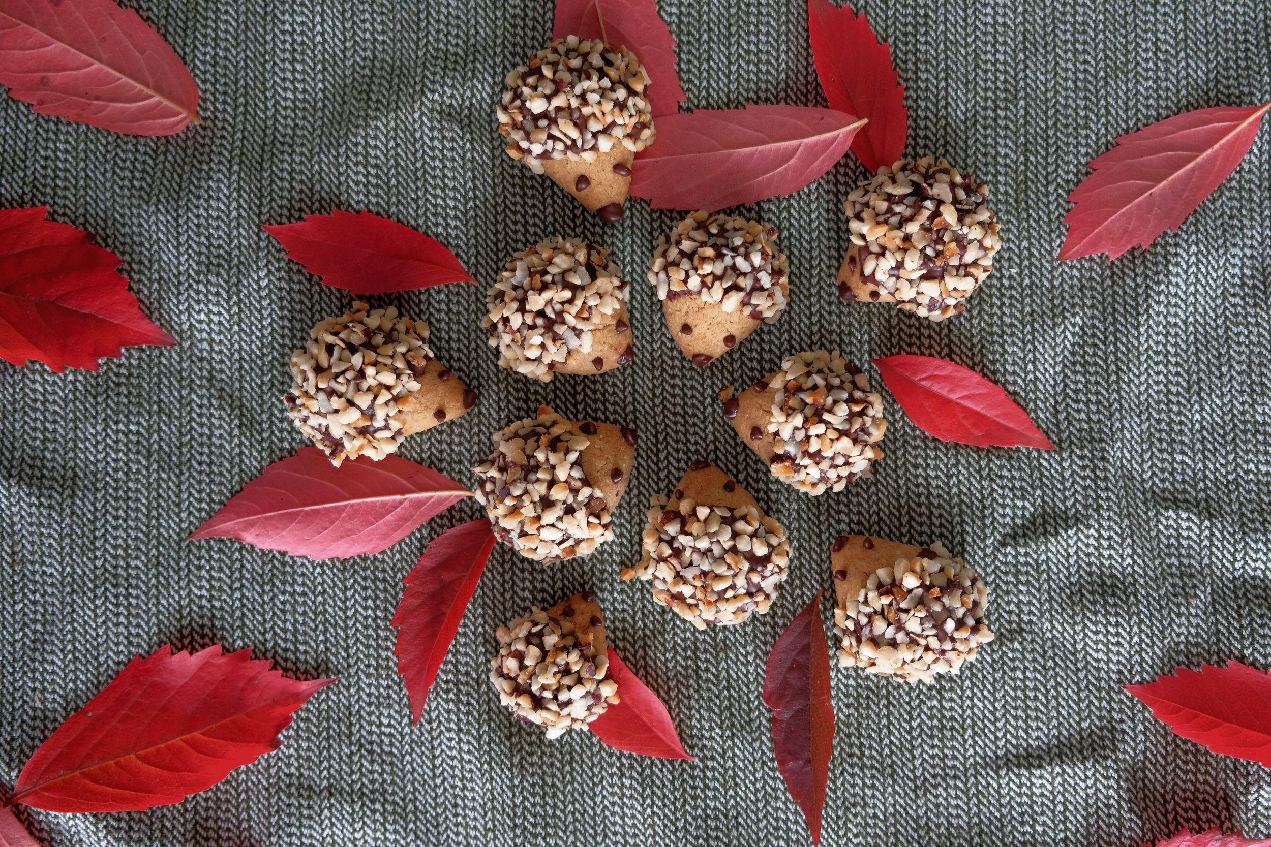 CINNAMON NUT HEDGEHOG