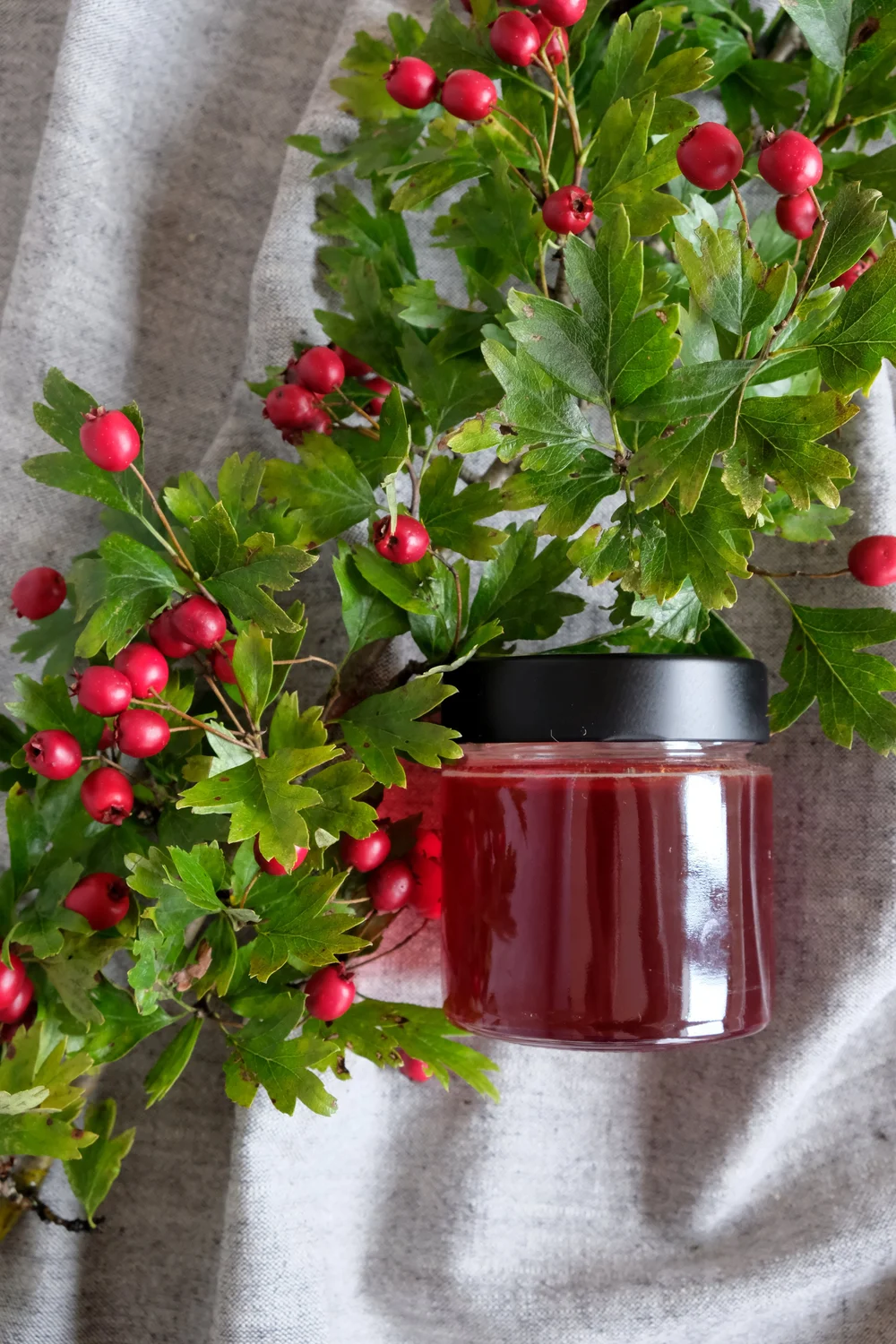 hawthorn-jelly-cooking-like-a-fox