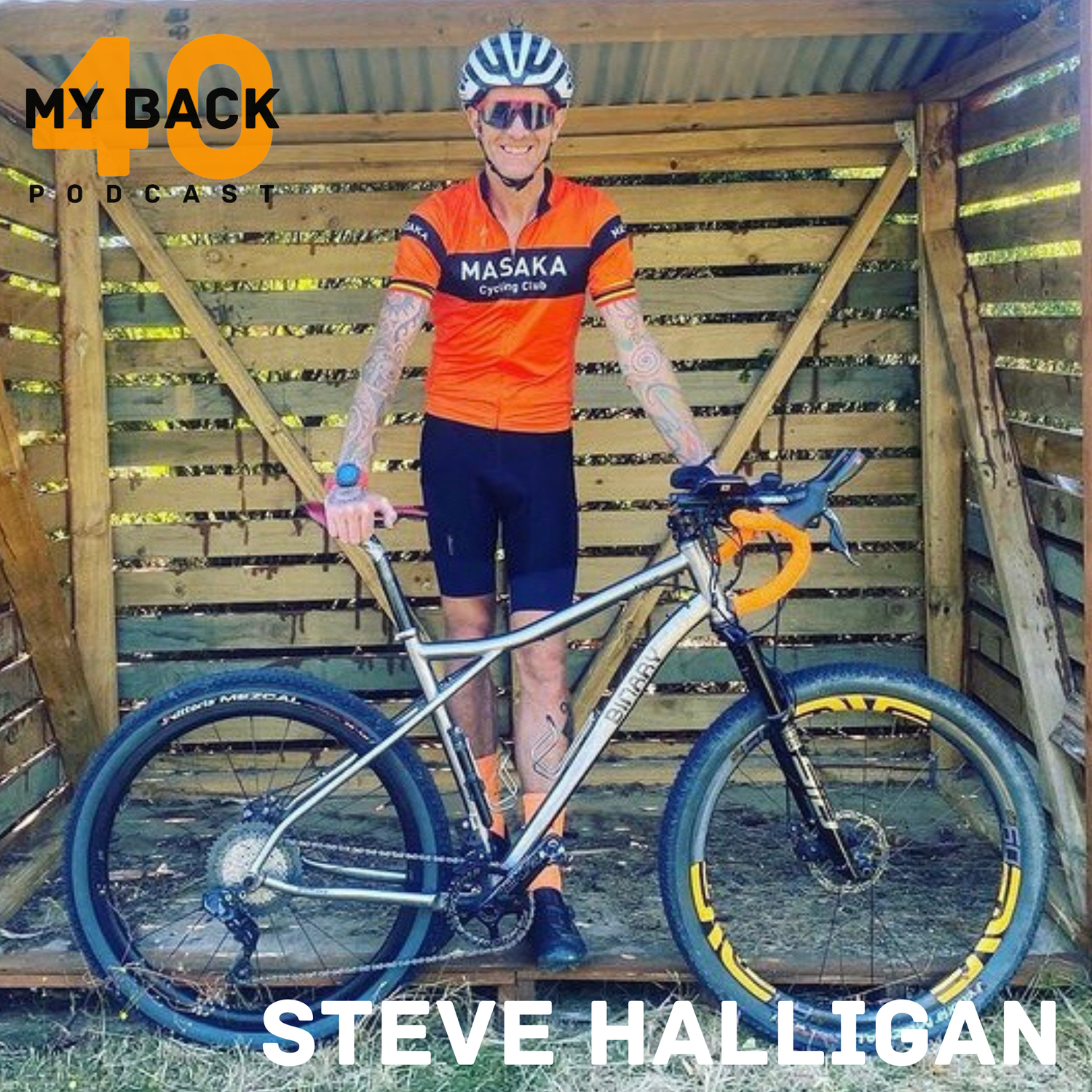 056. Steve Halligan - Vibrant Living Retreat episode artwork