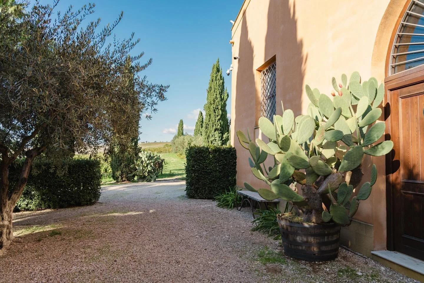 Donnafugata is one of the most beautiful wineries I have ever visited. They have vineyards all over Sicily. This one is in the region of Contessa Entellina, where my father&rsquo;s family is from. 🍷 
&bull;
&bull;
&bull;
#liveauthentic #livefolk #ou