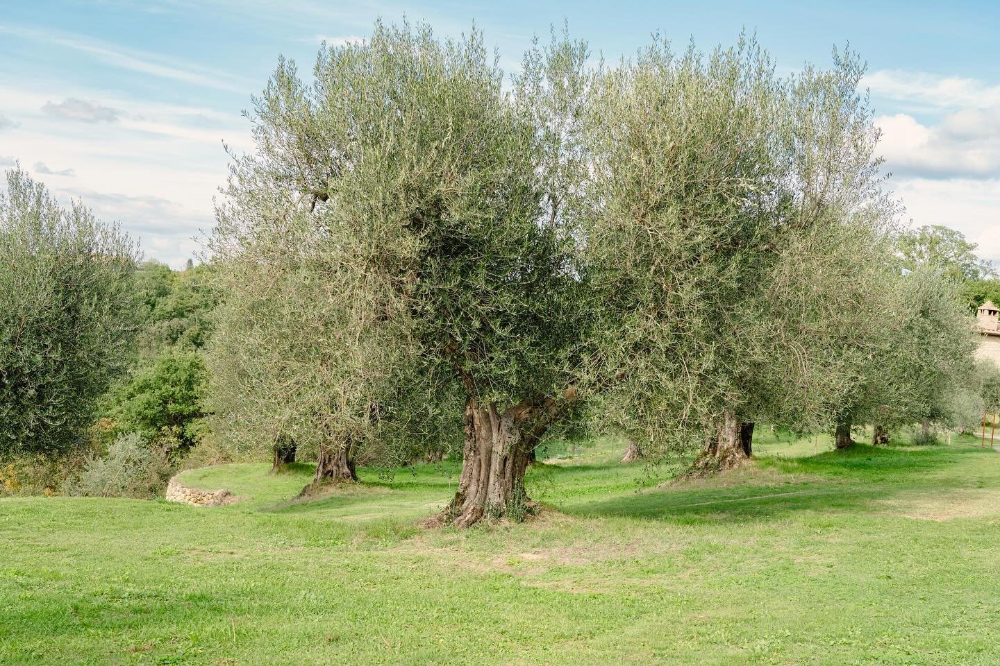 𝘛𝘩𝘦 𝘱𝘦𝘳𝘧𝘦𝘤𝘵 𝘛𝘶𝘴𝘤𝘢𝘯 𝘭𝘶𝘯𝘤𝘩 𝘴𝘱𝘰𝘵
&bull;
&bull;
&bull;
#liveauthentic #livefolk #ourplanetdaily #italytravel #map_of_europe #map_of_italy #exploretocreate #travelgram #travel #visualsofearth #visualsoflife #garden #landscape #nat