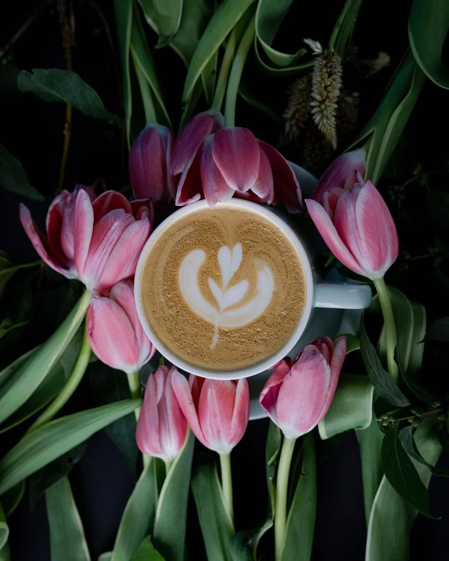 Combining my love for coffee, flowers, and photography! I had fun setting up these shots, then skipping over to the espresso machine to practice my latte art. No lattes were wasted. 
☕️💐📷
Available as digital downloads on my Etsy. Postcard set comi